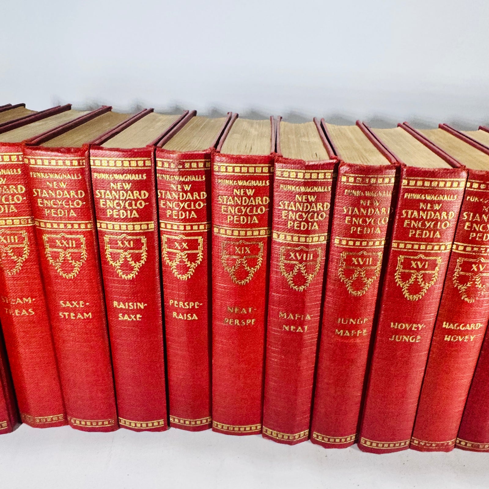 Funk & Wagnalls New Standard Encyclopedia of Universal Knowledge 1931 Complete 25 Volume Set