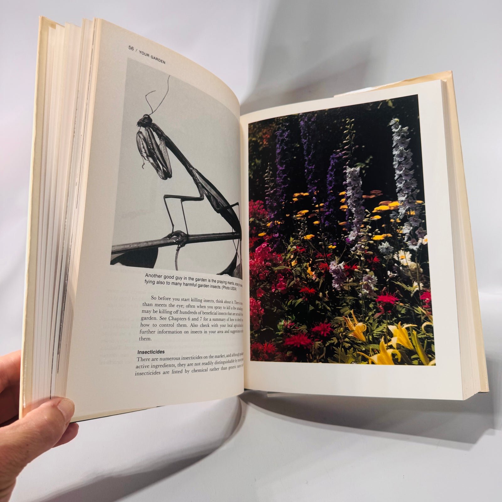 Vintage “1000 Beautiful Garden Plants and How to Grow Them” by Jack Kramer | 1976 Hardcover with Dust Jacket