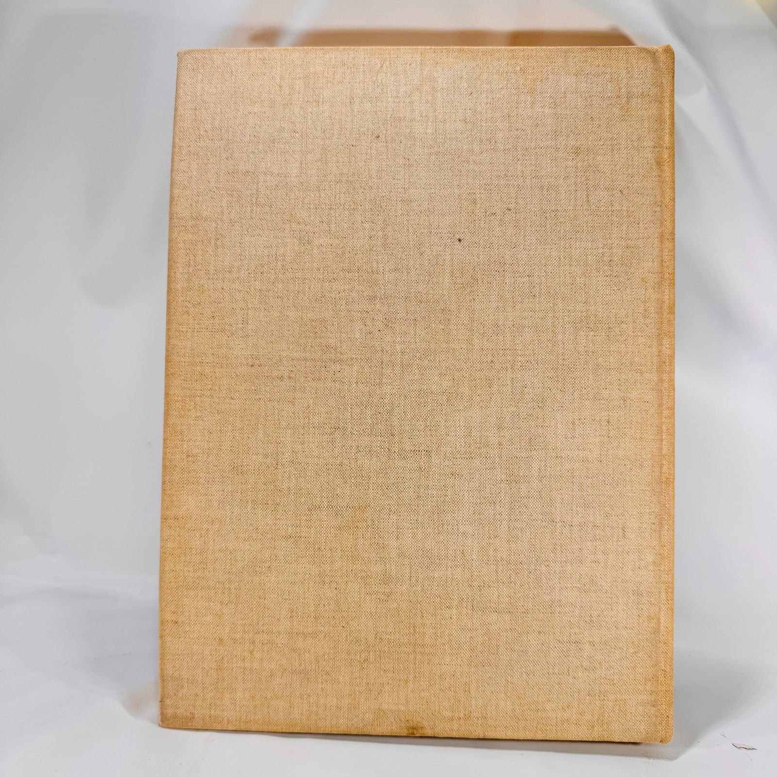 Treasury of World Painting by Alfredo Colombo & Gaston Diehl Undated Tudor Publisher Company
