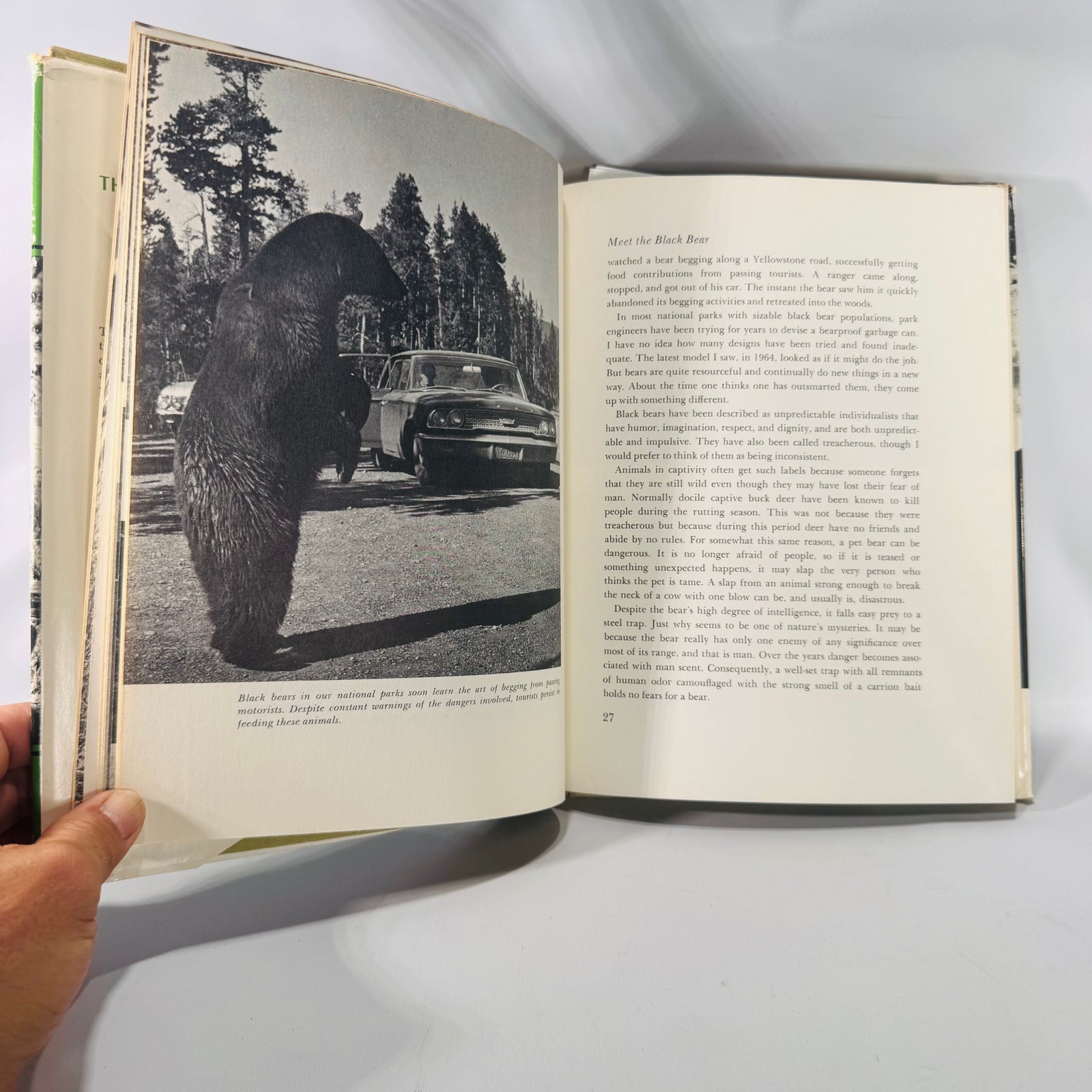 Vintage “The World of the Black Bear” Hardcover 1966 | Joe Van Wormer Wildlife Photography Book | Nature & Ecology Collector’s Edition
