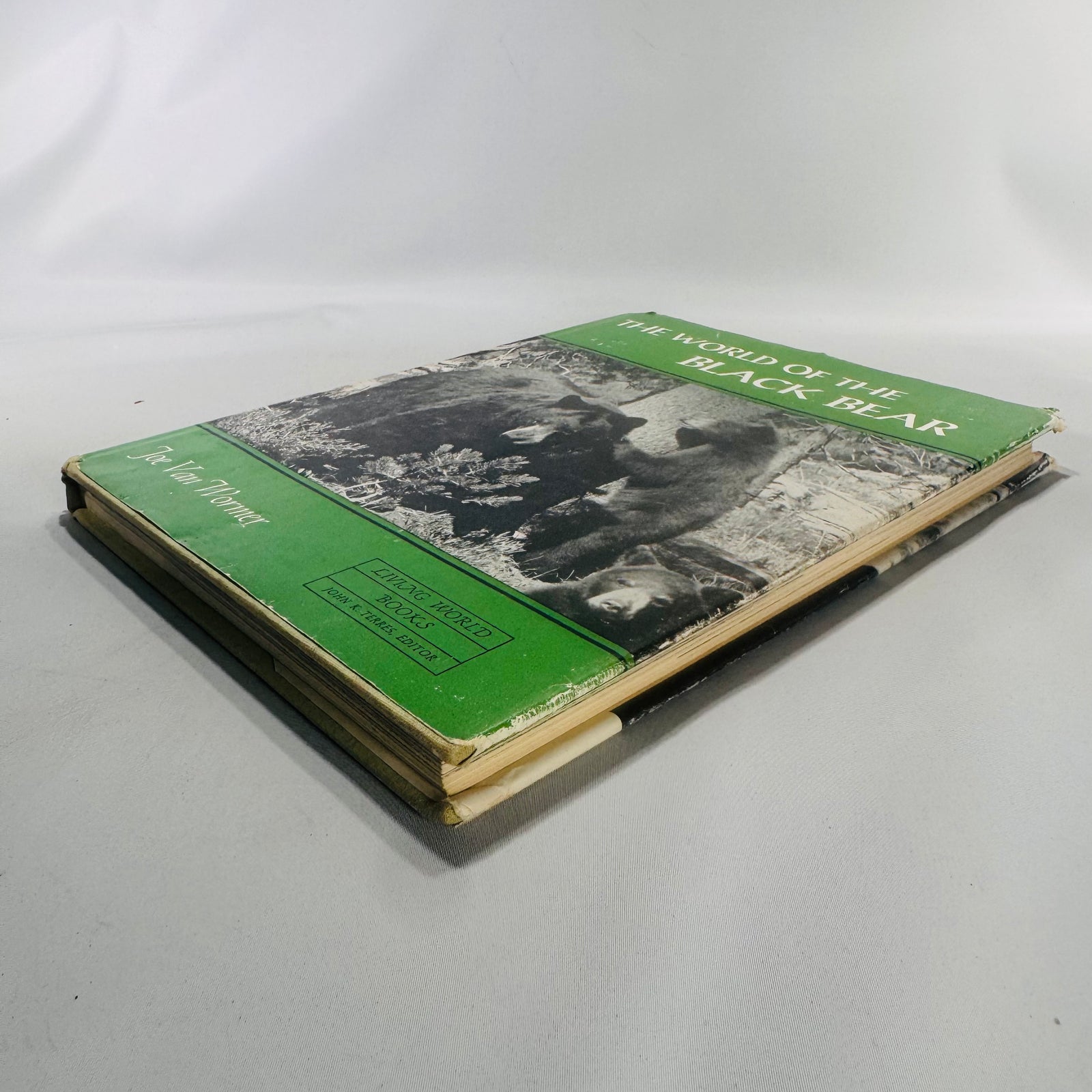 Vintage “The World of the Black Bear” Hardcover 1966 | Joe Van Wormer Wildlife Photography Book | Nature & Ecology Collector’s Edition