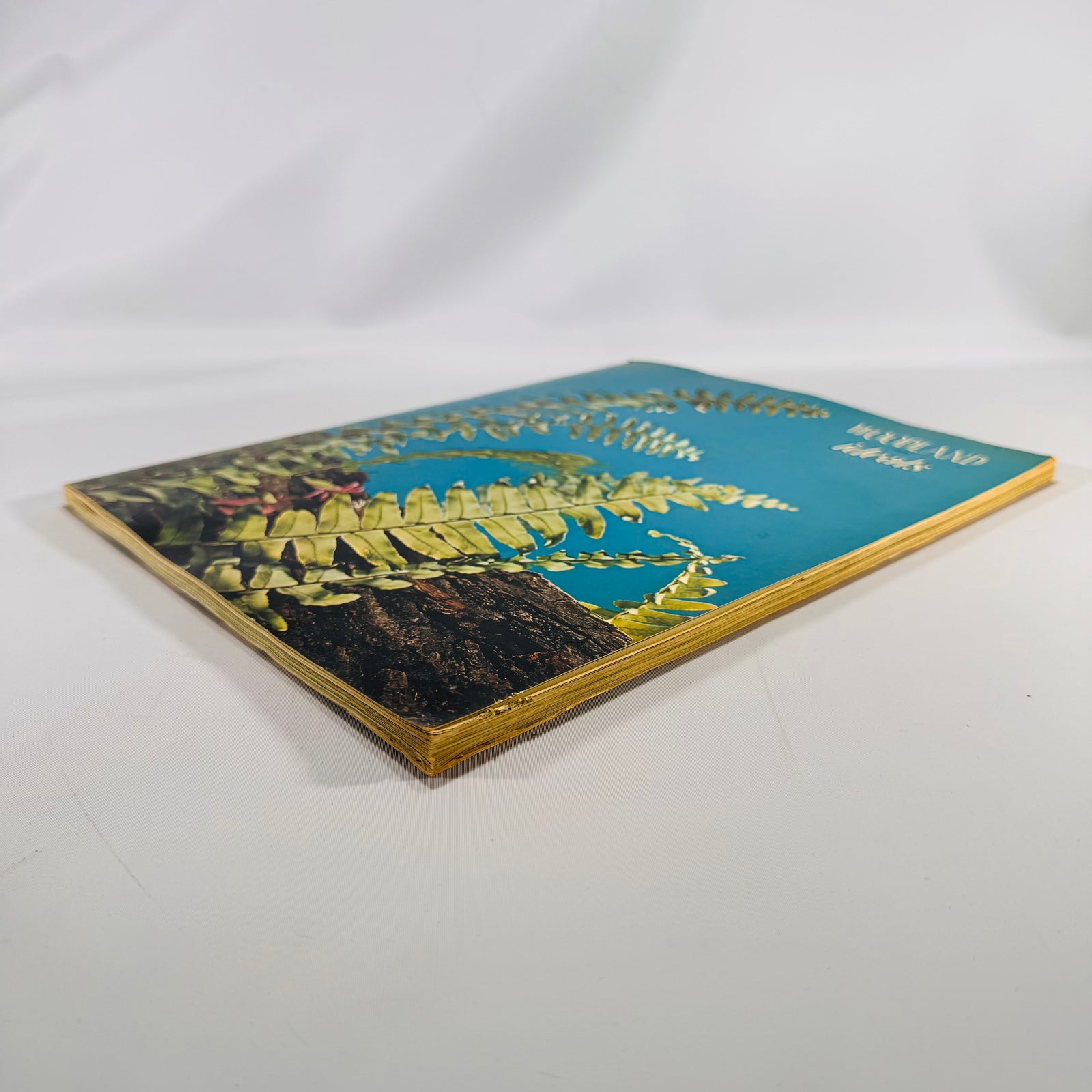 Woodland Ideals Vol. 29 No. 4 (July 1972) | Vintage Nature Poetry & Photography | Paperback