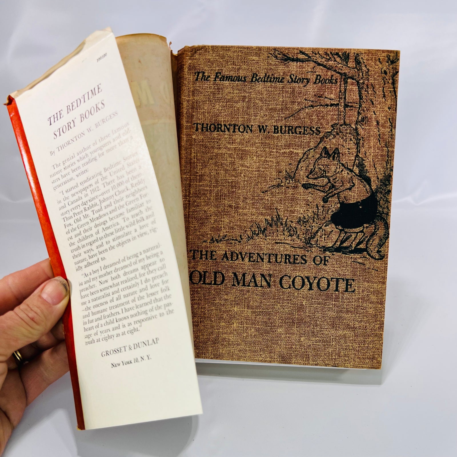 Jacket flap beside the printed tan cloth cover, The Adventures of Old Man Coyote