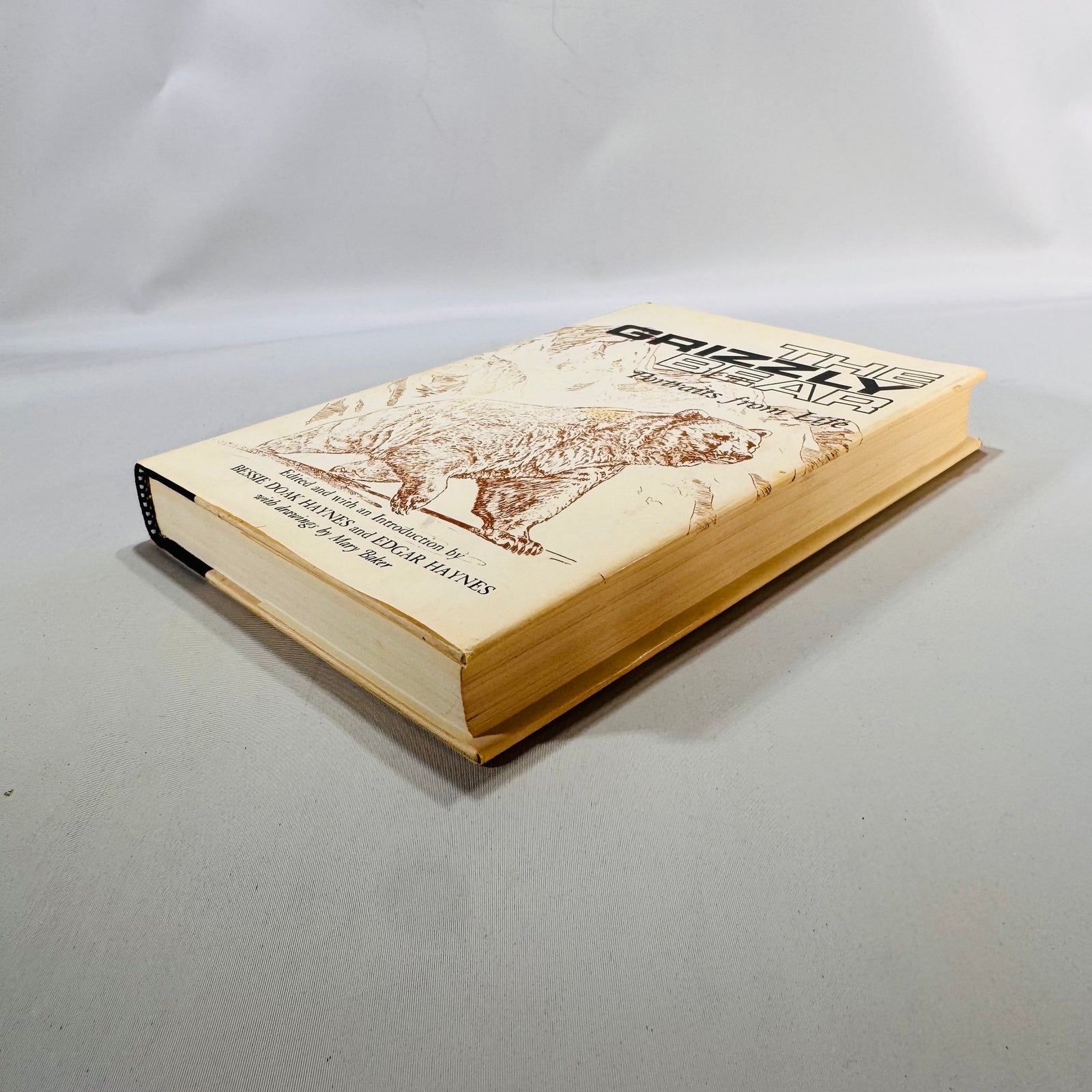 The Grizzly Bear (1966/1979) — Portraits from Life | Haynes, Univ. of Oklahoma Press, Illustrated, DJ