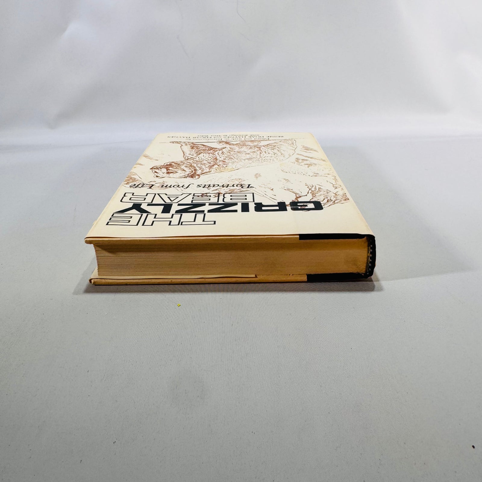 The Grizzly Bear (1966/1979) — Portraits from Life | Haynes, Univ. of Oklahoma Press, Illustrated, DJ