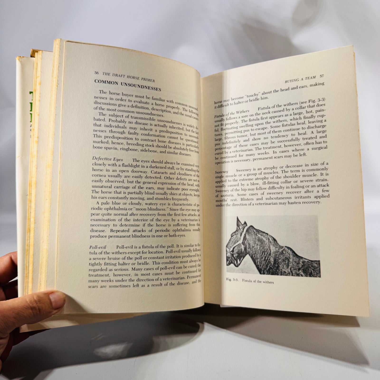 The Draft Horse Primer (1977) — Maurice Telleen | Illustrated, DJ