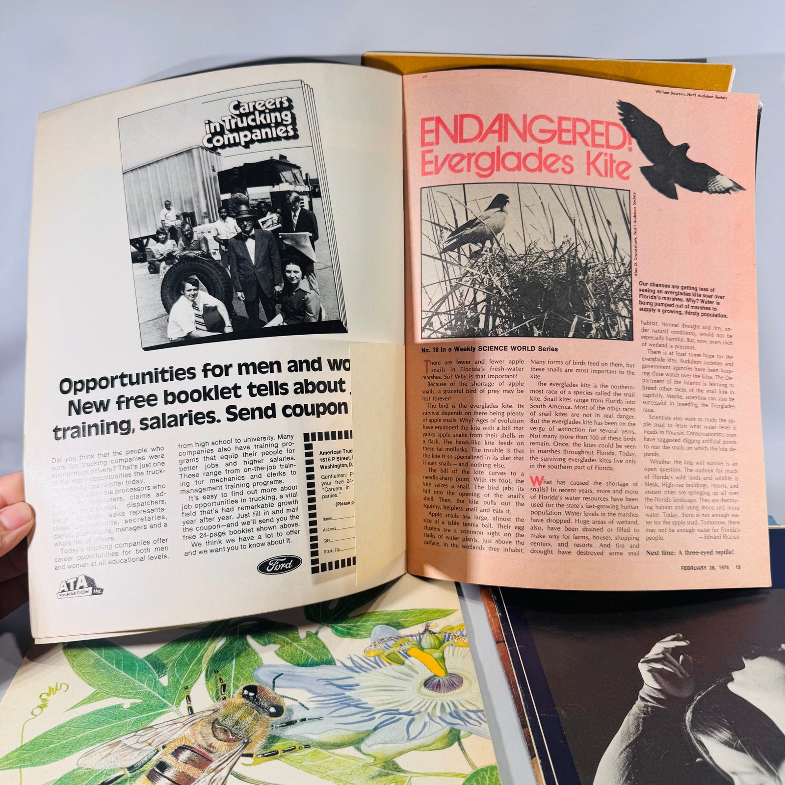 Science World (4 Issues, 1974) — Classroom Periodical | Cave Bears, Allergies, Noah’s Ark, Science Magazine Set