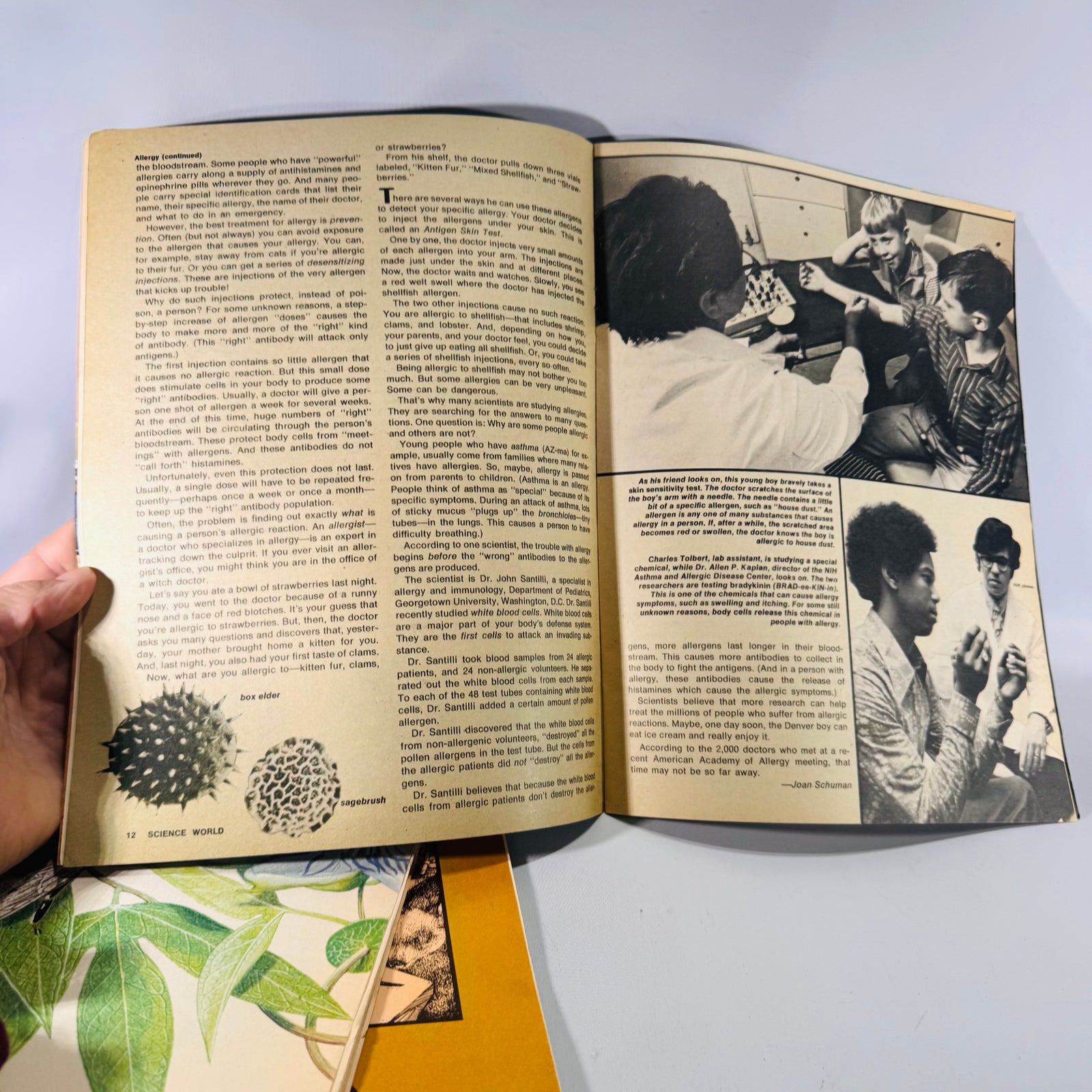 Science World (4 Issues, 1974) — Classroom Periodical | Cave Bears, Allergies, Noah’s Ark, Science Magazine Set