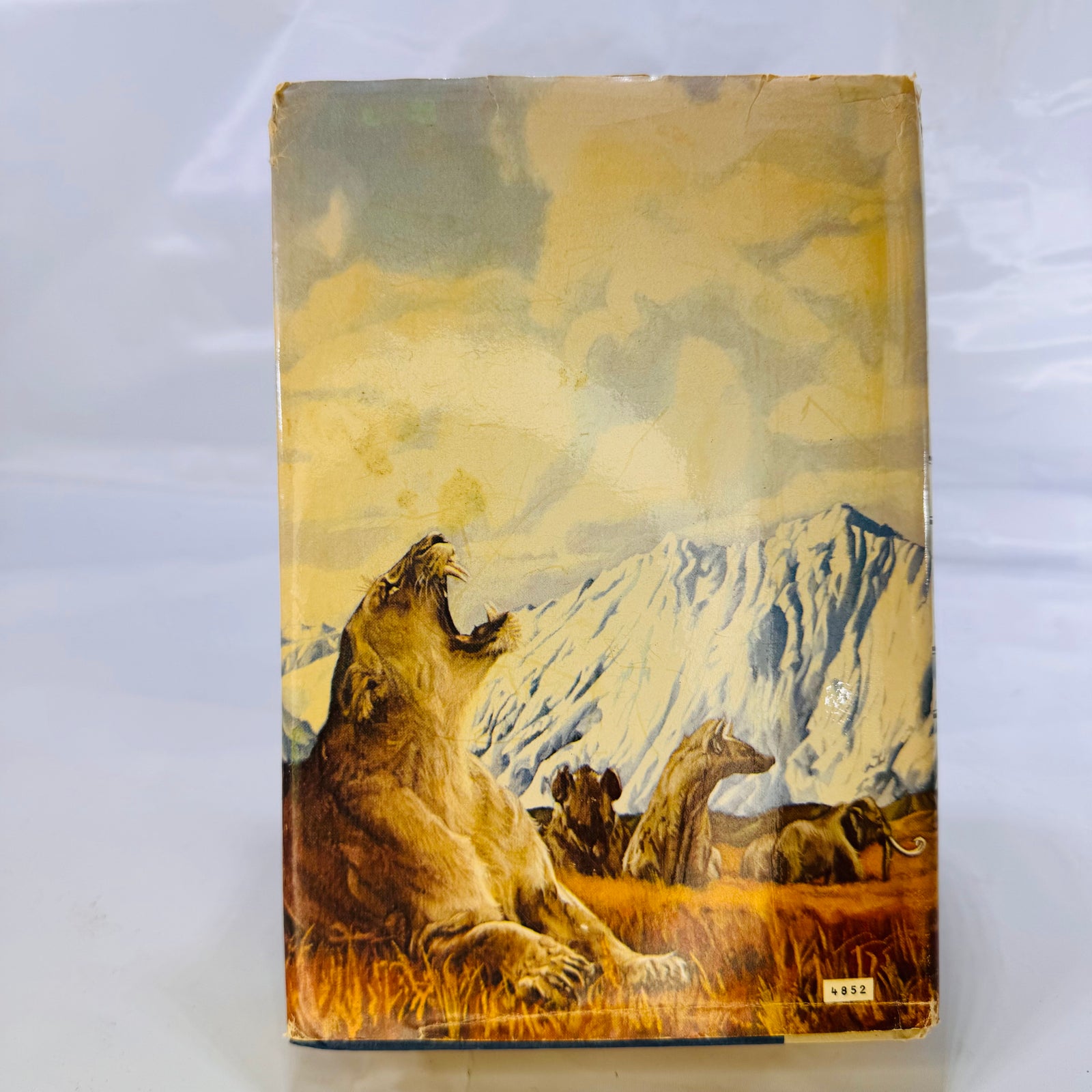 The Valley of Horses by Jean M. Auel (1982), Crown Publishing, Hardcover