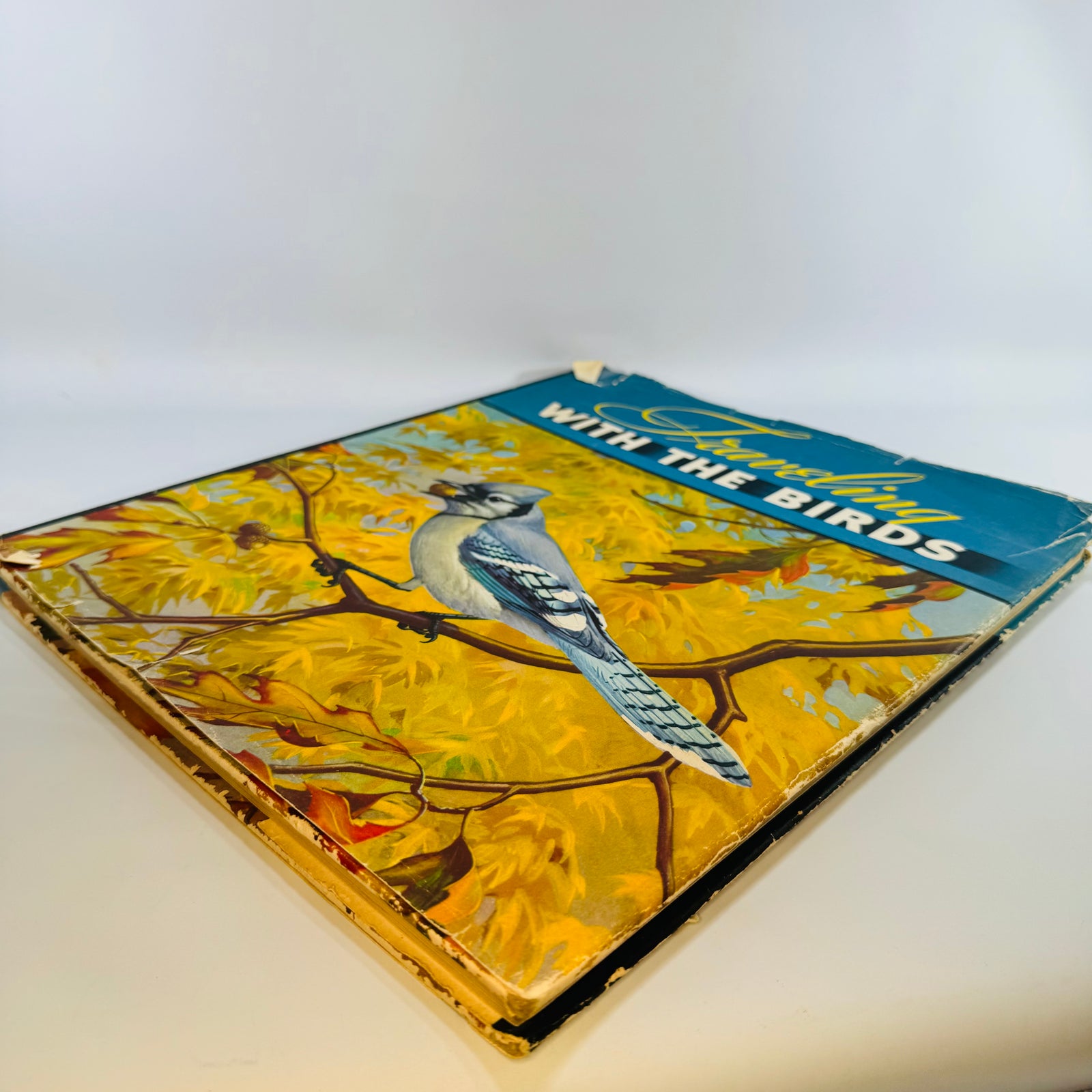 Vintage Bird Migration Illustrated Book — Traveling with the Birds (1933) — Rudyerd Boulton | Walter Alois Weber Art, Ornithology / Natural History