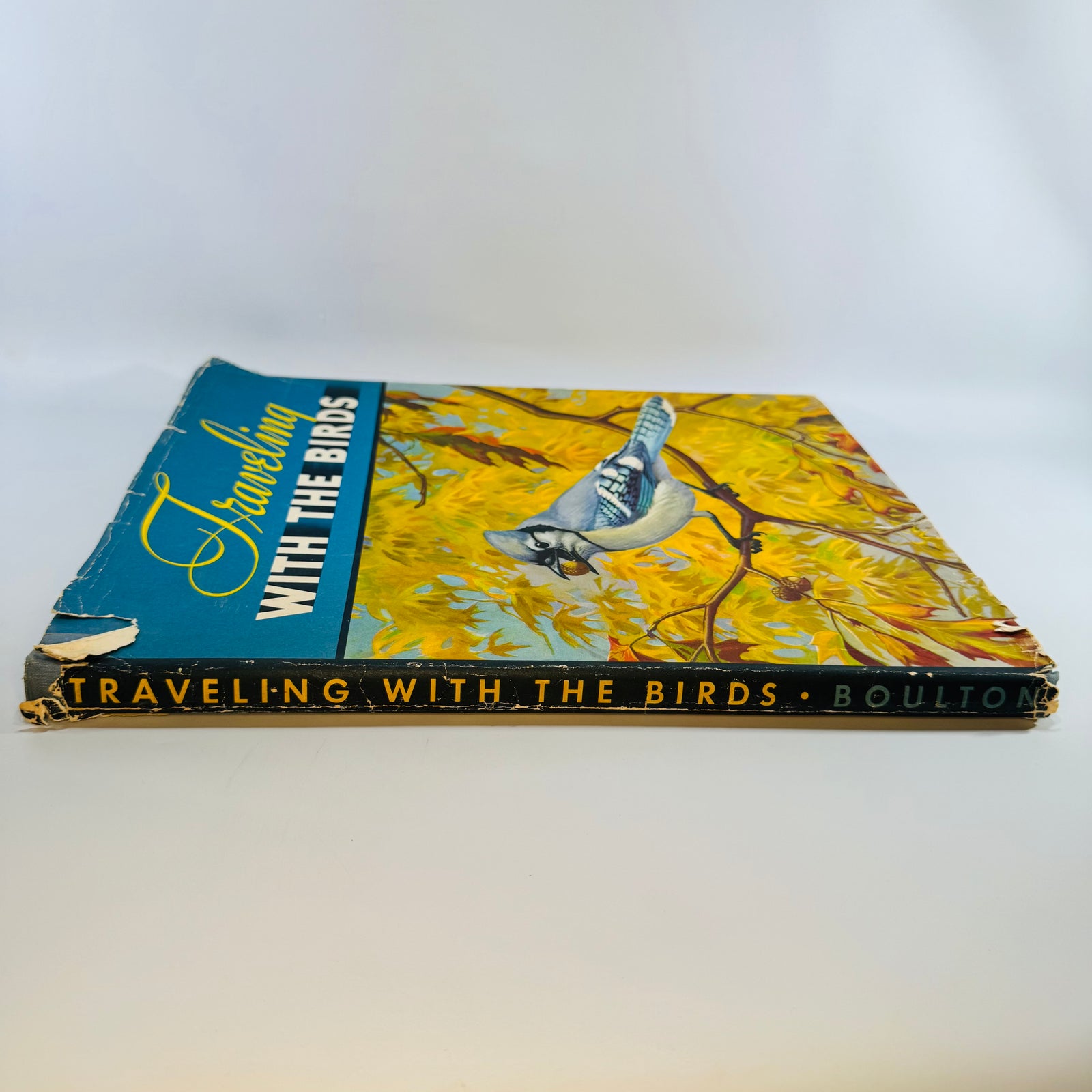 Vintage Bird Migration Illustrated Book — Traveling with the Birds (1933) — Rudyerd Boulton | Walter Alois Weber Art, Ornithology / Natural History
