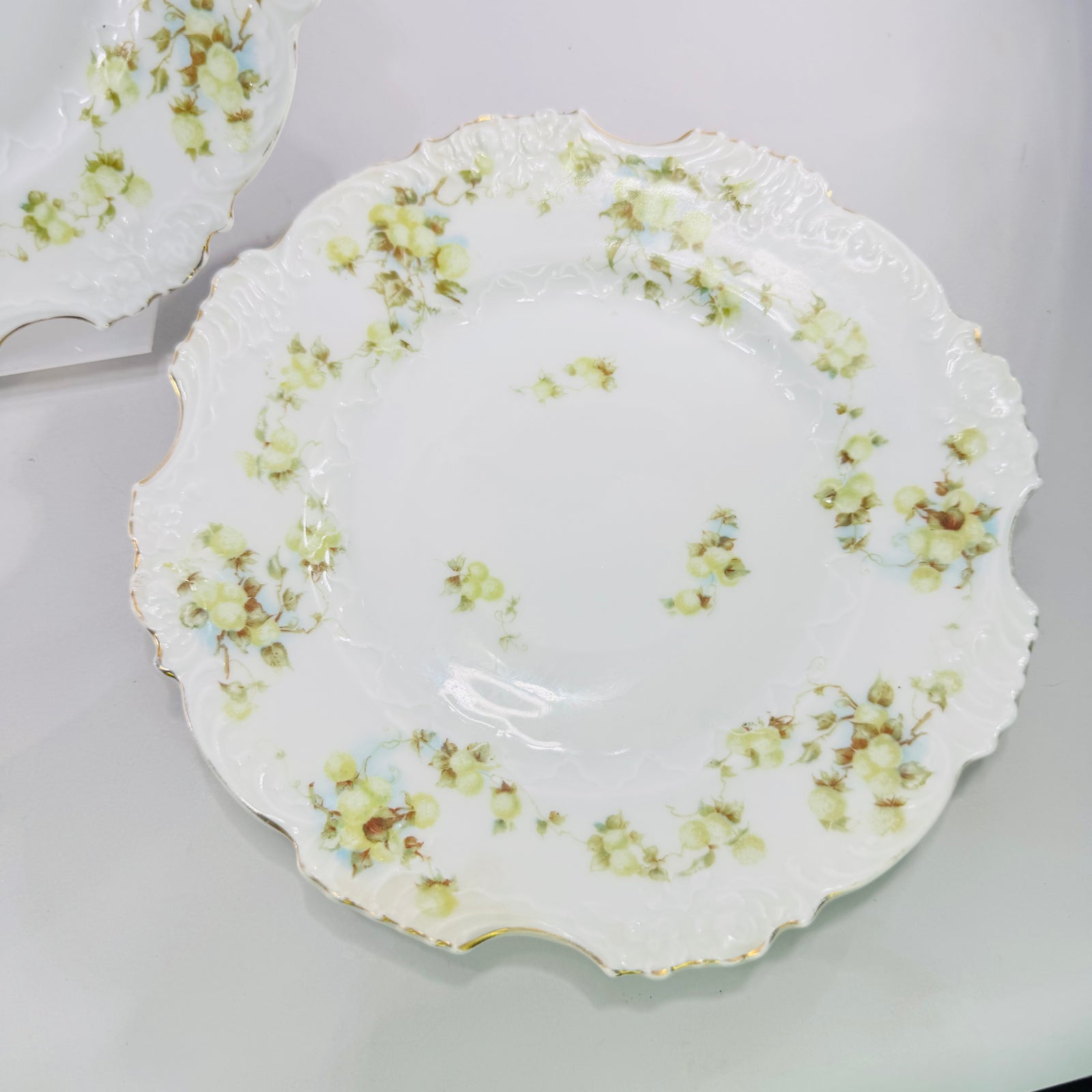 Hermann Ohme Eglantine Plates Set of 2 Green Blue Floral