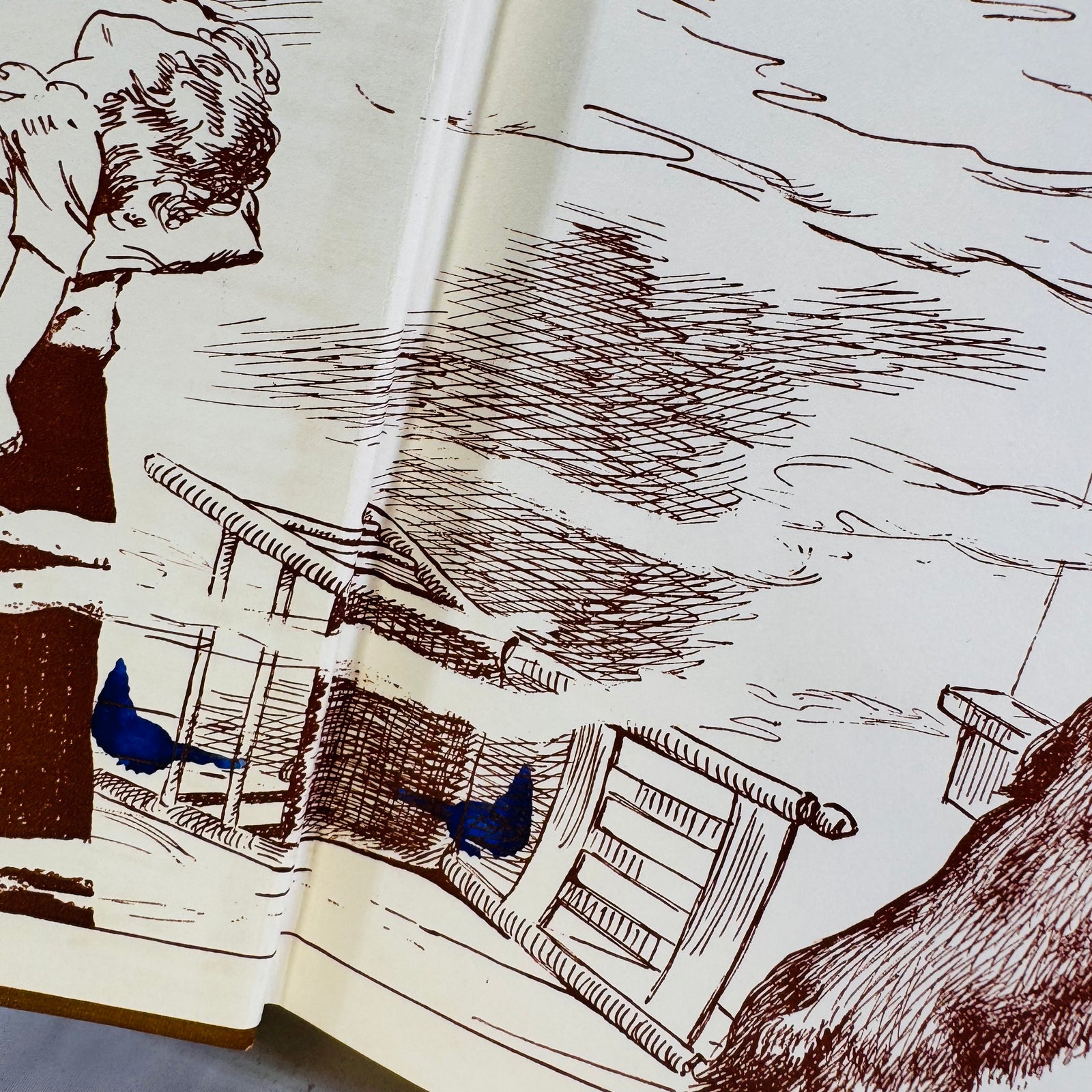 Brown and blue pictorial endpapers, Rusty, A Cocker Spaniel by Major S. P. Meek