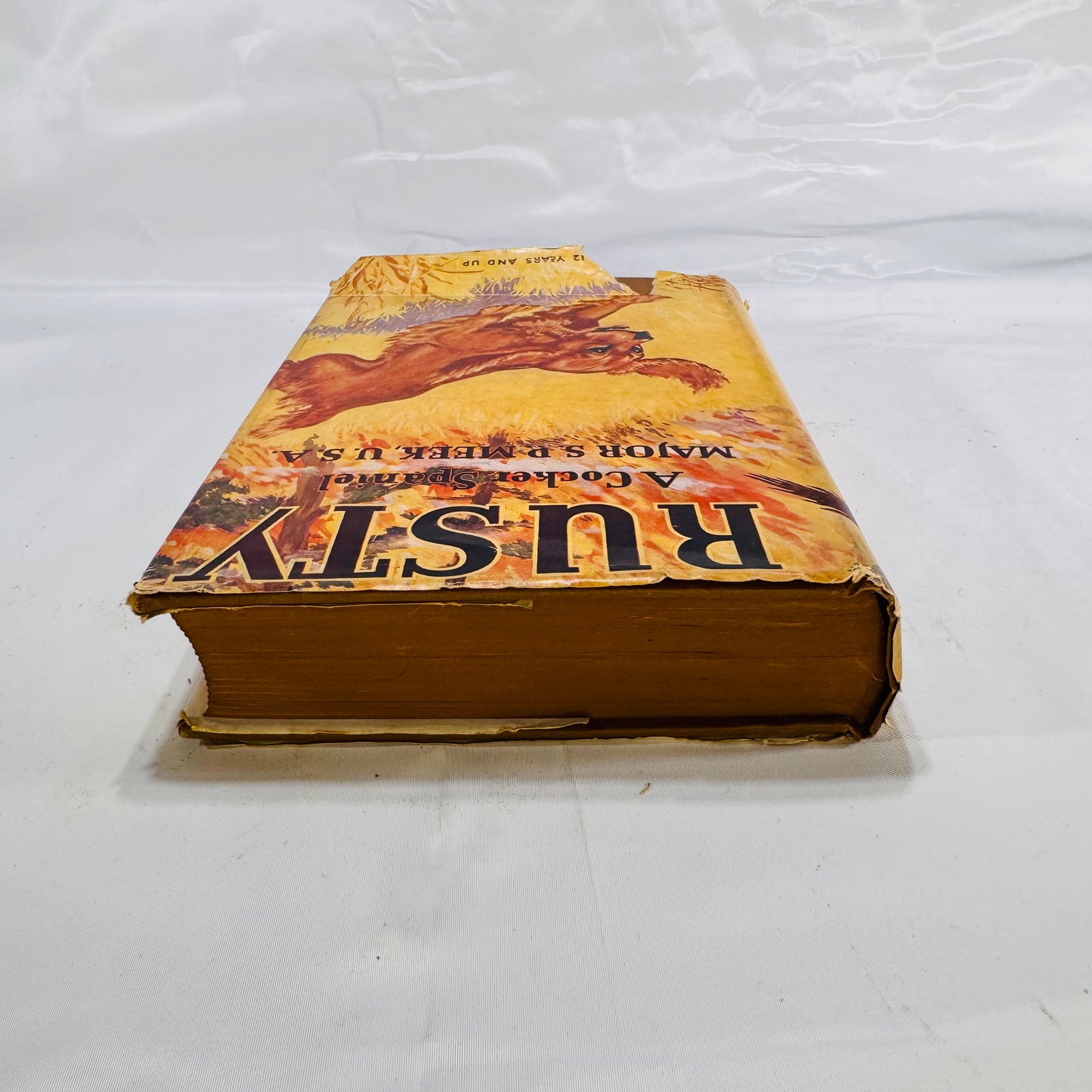 Top edge of Rusty, A Cocker Spaniel 1942, showing the jacket and page edges
