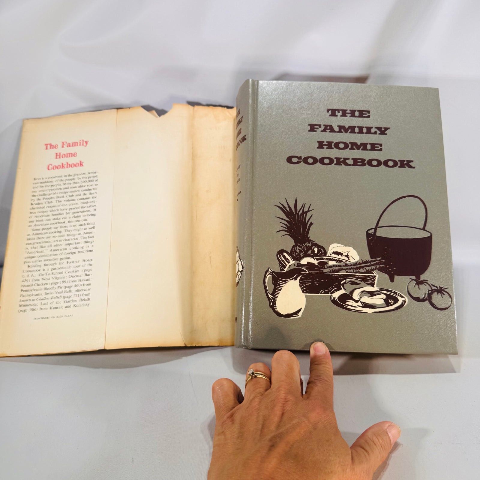 The Family Home Cookbook (1973) — Culinary Arts Institute | Vintage Cookbook Dust Jacket, Illustrated, Culinary Arts