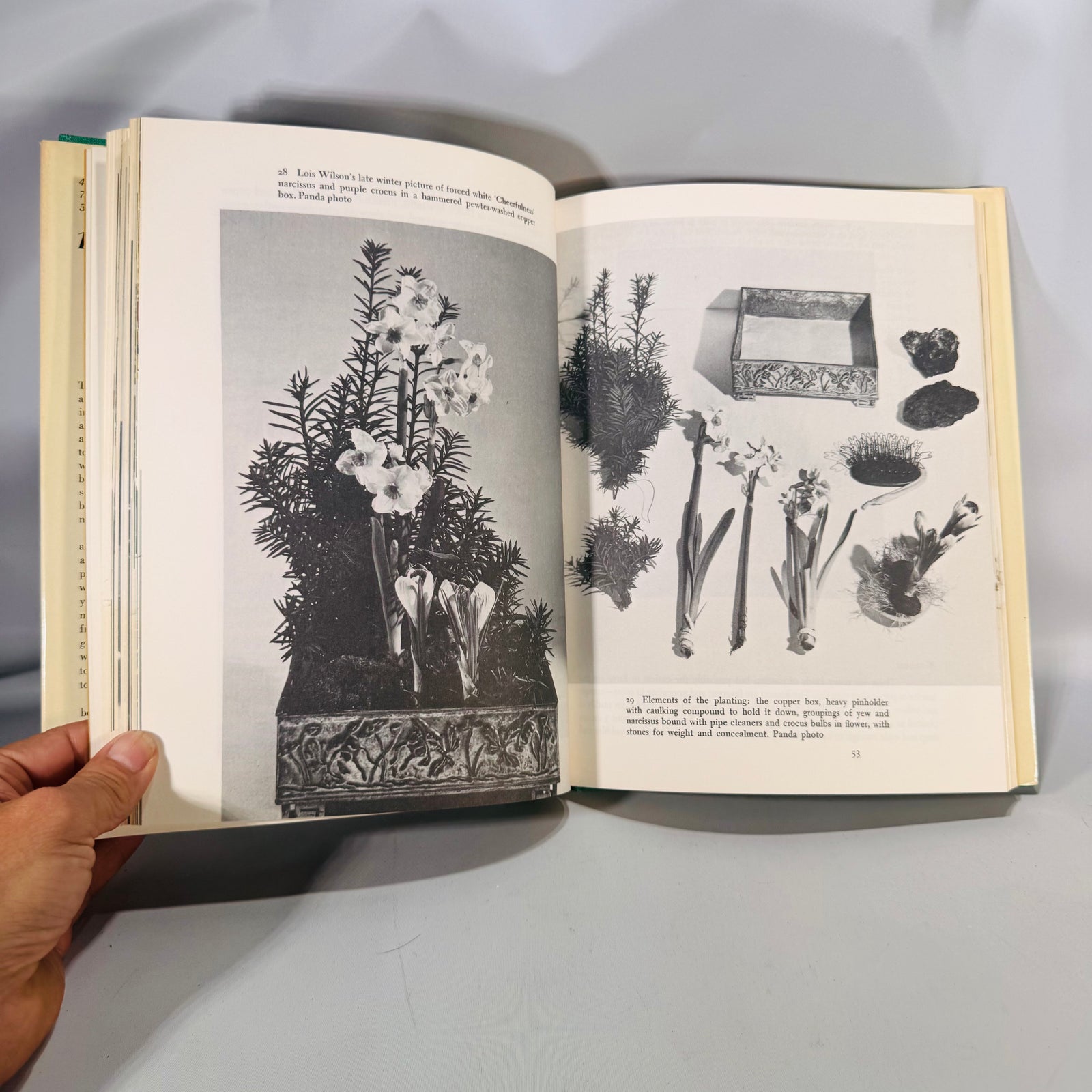 1000 Beautiful House Plants and How to Grow Them (1966) — Jack Kramer | Dust Jacket, Photo-Rich Guide, Gardening & Houseplants