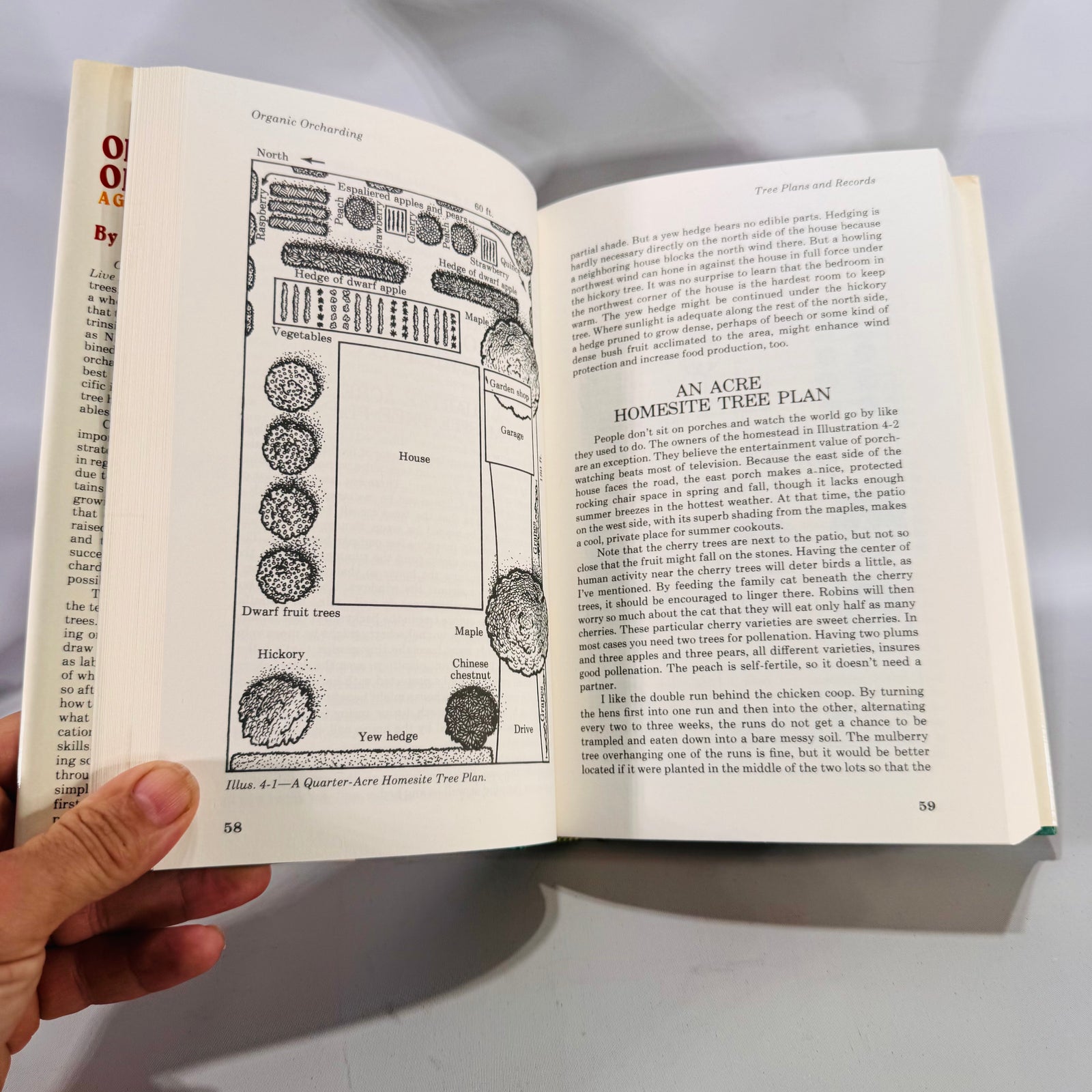 Organic Orcharding: A Grove of Trees to Live In (1981) — Gene Logsdon | Illustrated Sustainable Agriculture, Gardening & Homesteading, Nature Reference
