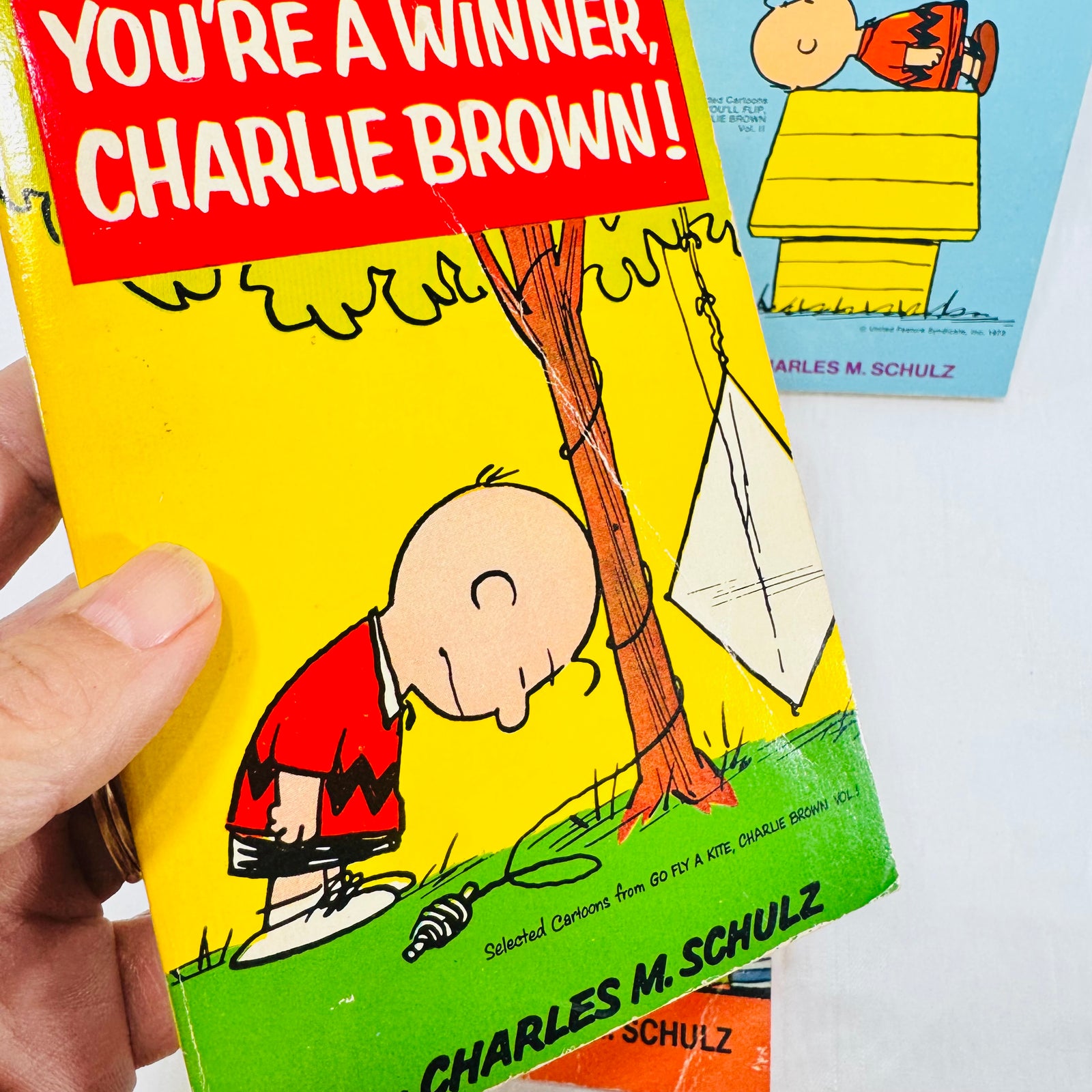 Charlie Brown Fawcett Crest 3 Book Lot, Charles M. Schulz Peanuts Paperbacks, 1969 to 1973