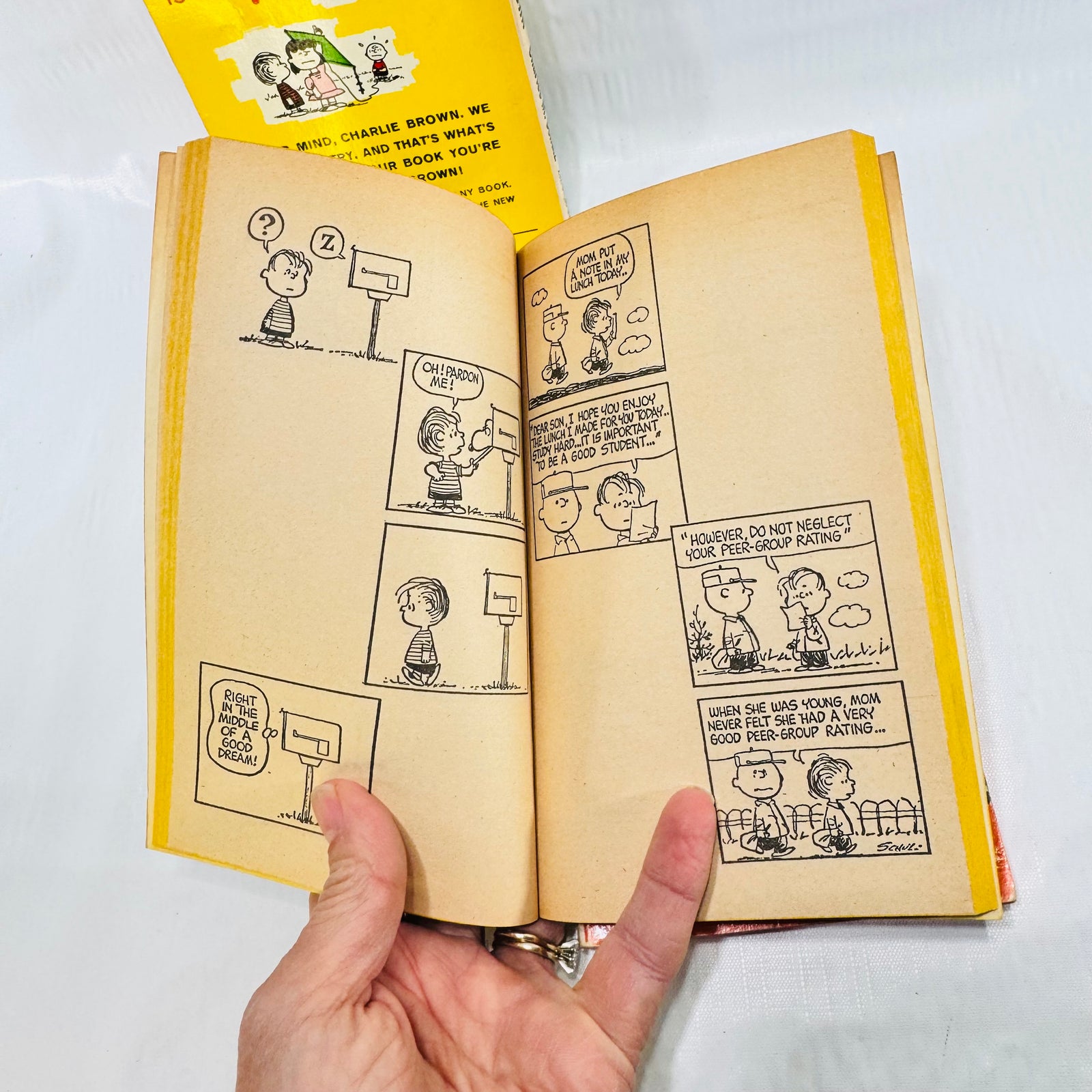 Charlie Brown Fawcett Crest 3 Book Lot, Charles M. Schulz Peanuts Paperbacks, 1969 to 1973