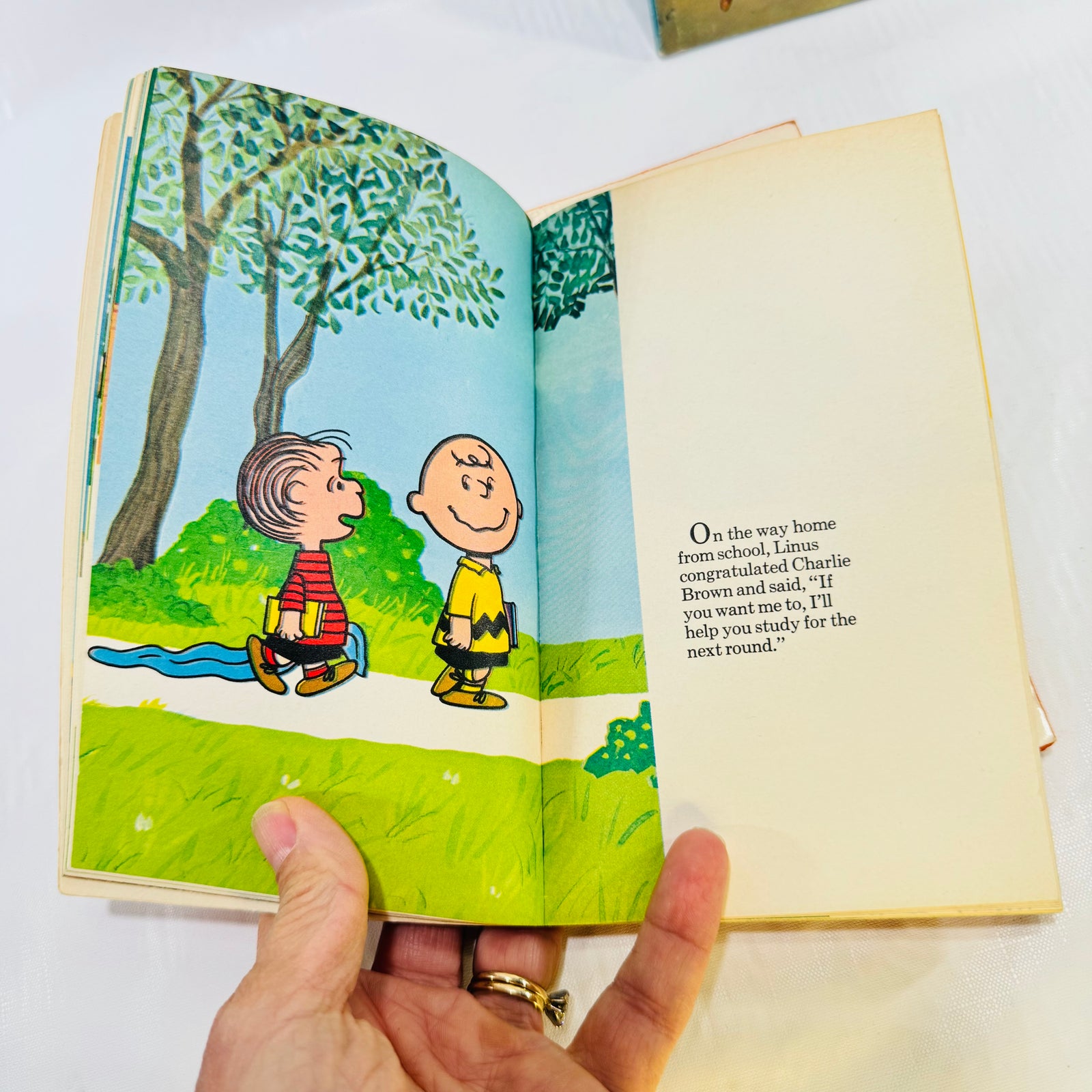 A Boy Named Charlie Brown, It Was a Short Summer & This Is Your Life Peanuts Lot of 3 by Charles M. Schulz