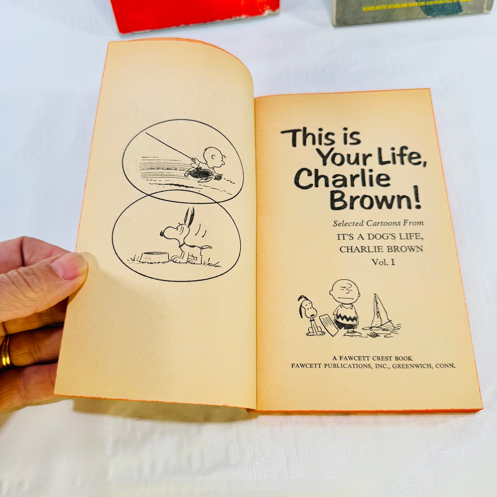 A Boy Named Charlie Brown, It Was a Short Summer & This Is Your Life Peanuts Lot of 3 by Charles M. Schulz