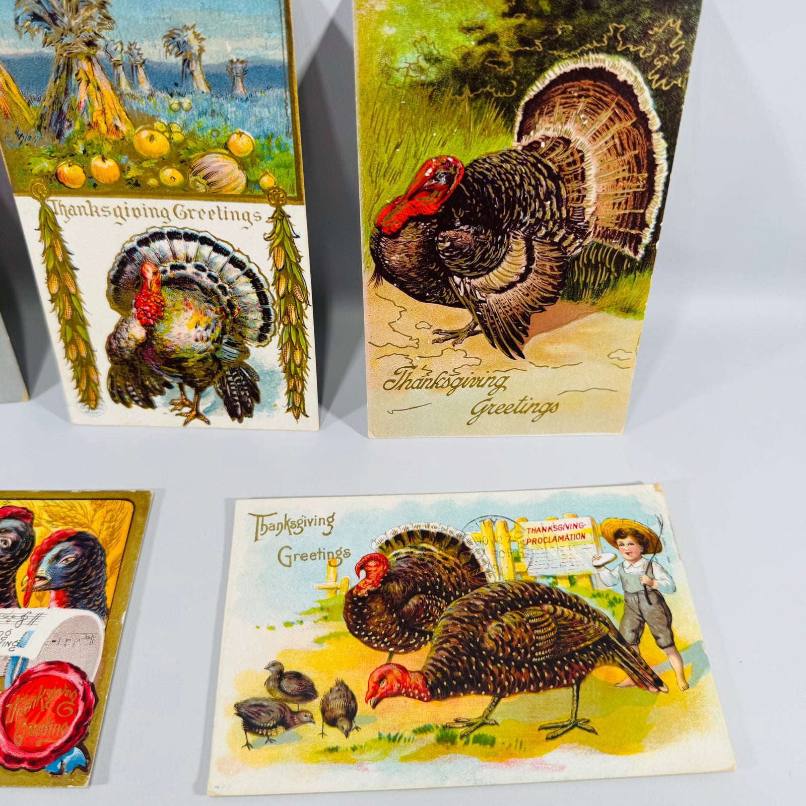 Vintage Thanksgiving Postcards Lot of 6 | Antique Edwardian Turkey Holiday Postcard Collection | Harvest Turkeys Pumpkin Proclamation 1908–1911
