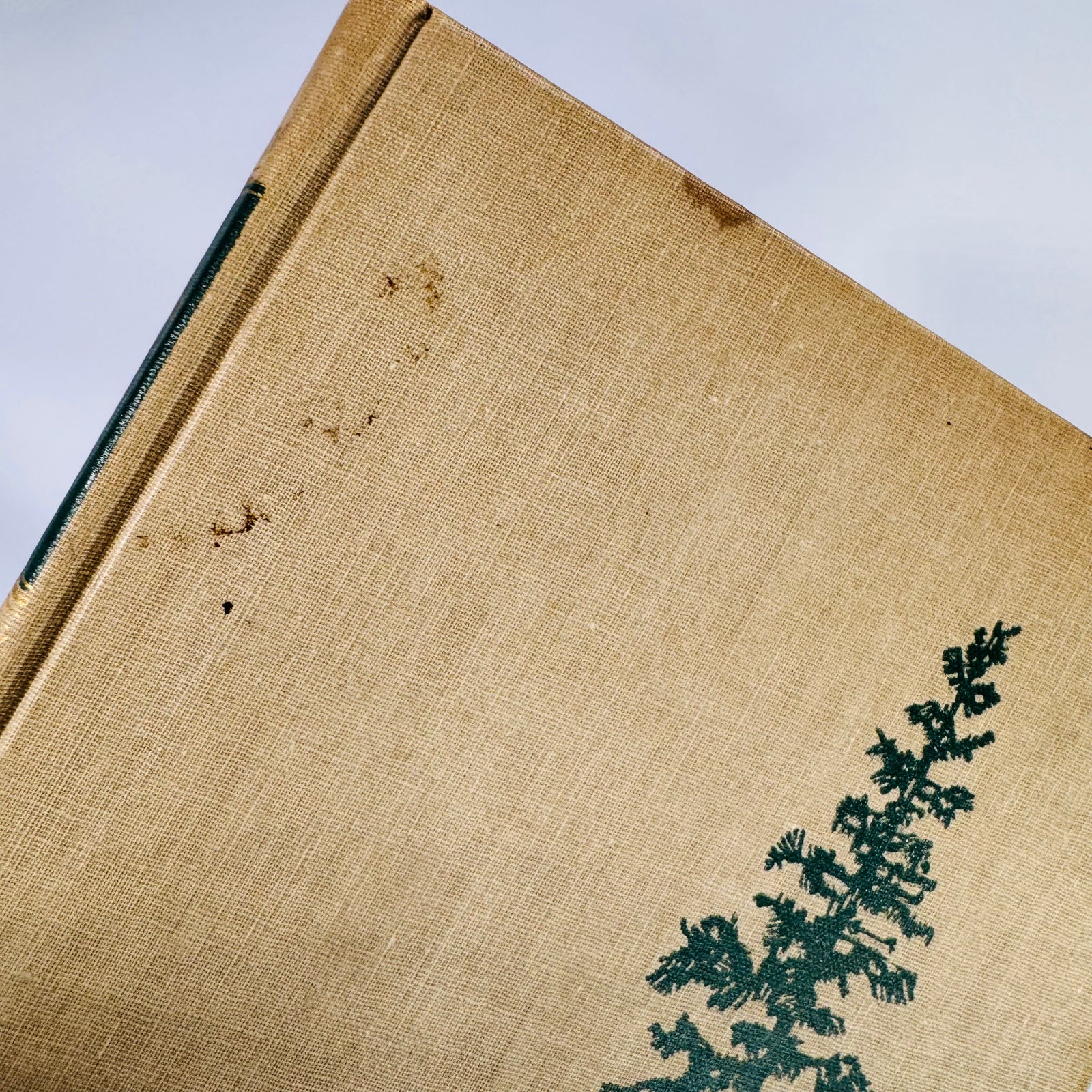 The Tamarack Tree – Howard Breslin | 1947 Vintage Historical Fiction