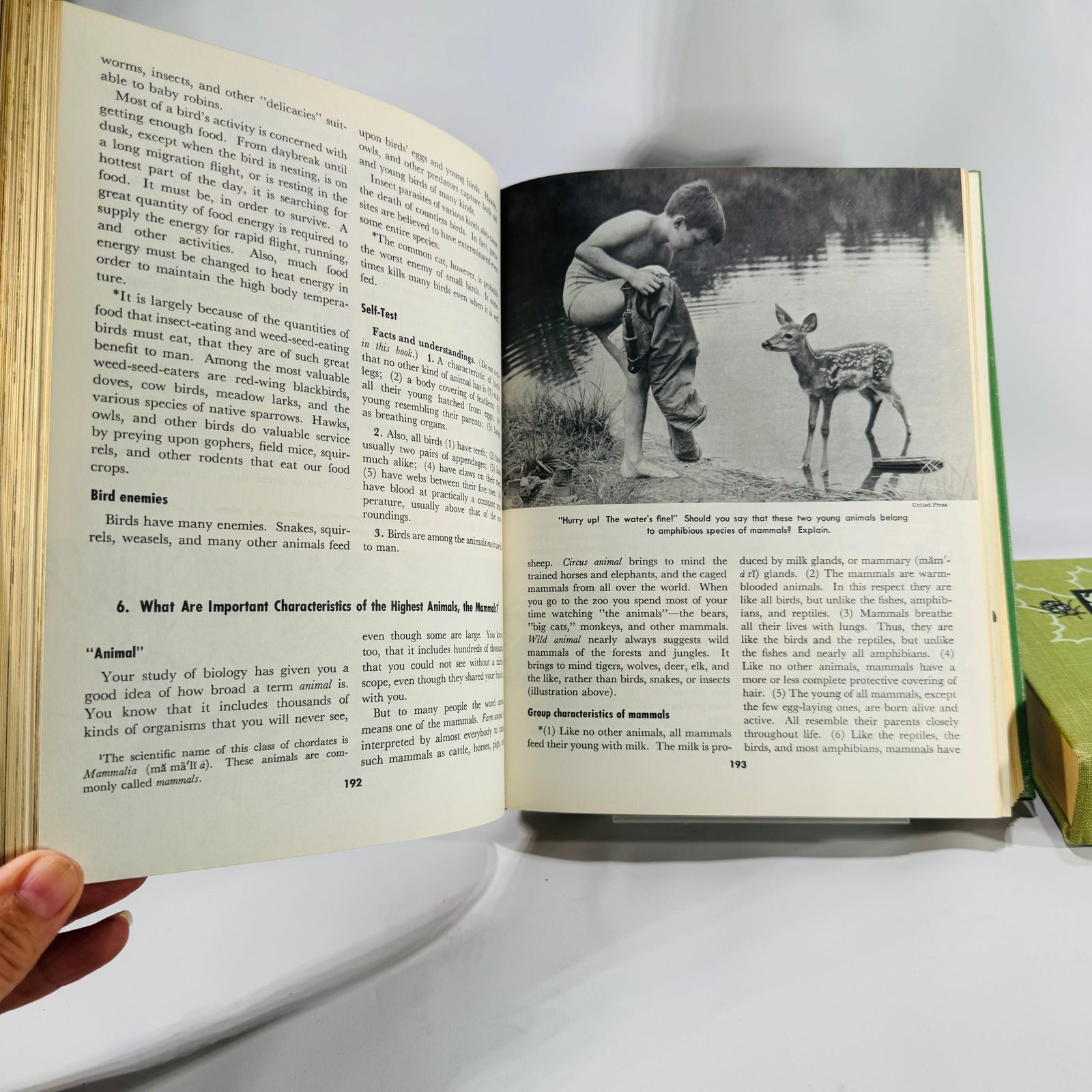 Natural History / Biology Textbook Lot — Elements of Biology (1957) + Biology: The Living World (1968) — Illustrated Hardcovers | Mid-Century Science
