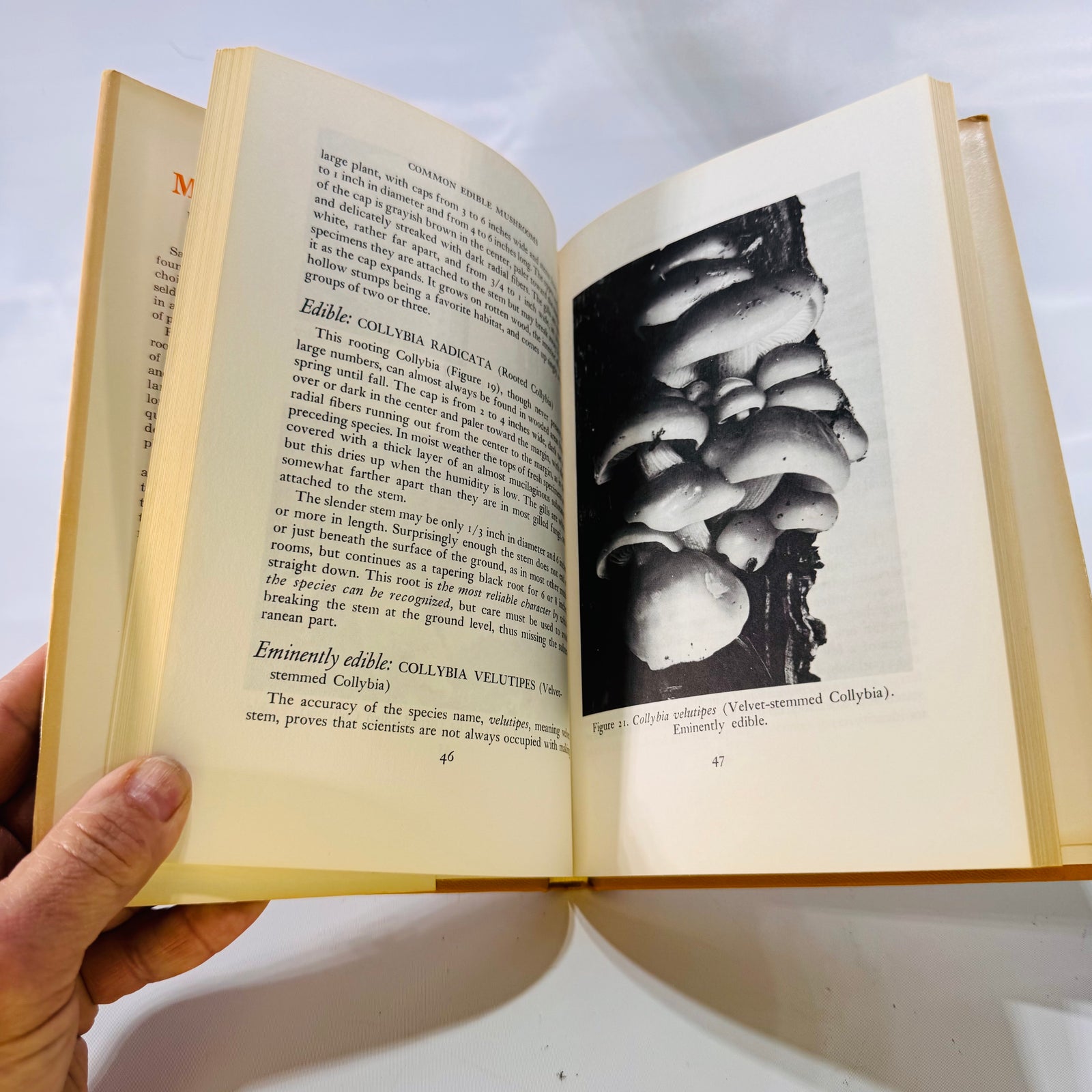 Common Edible Mushrooms by Clyde M. Christensen (1943), The University of Minnesota Press, Hardcover with Dust Jacket