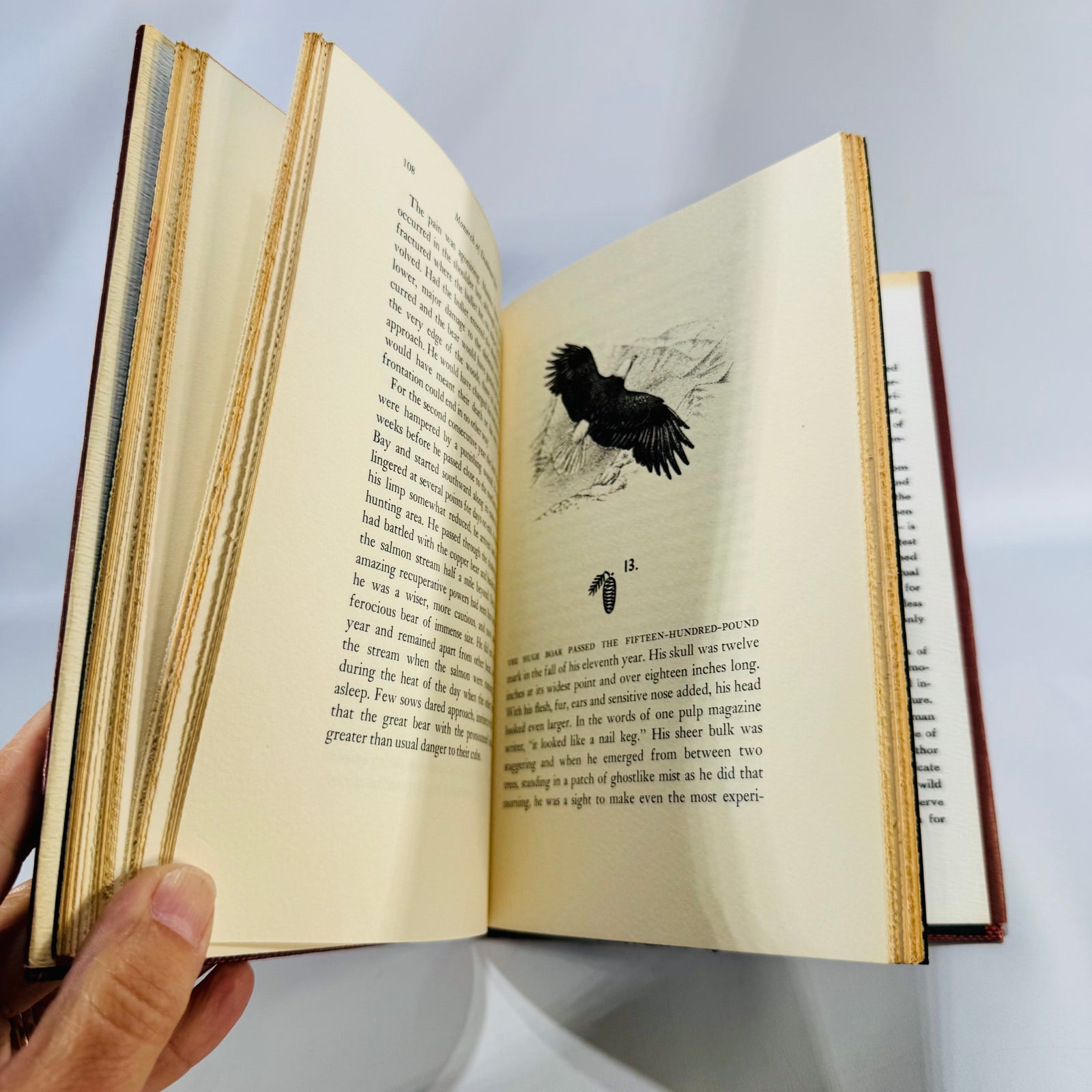 Natural History — Monarch of Deadman Bay: The Life and Death of a Kodiak Bear (1969) — Roger Caras | First Edition, Illustrated, Wildlife Biography