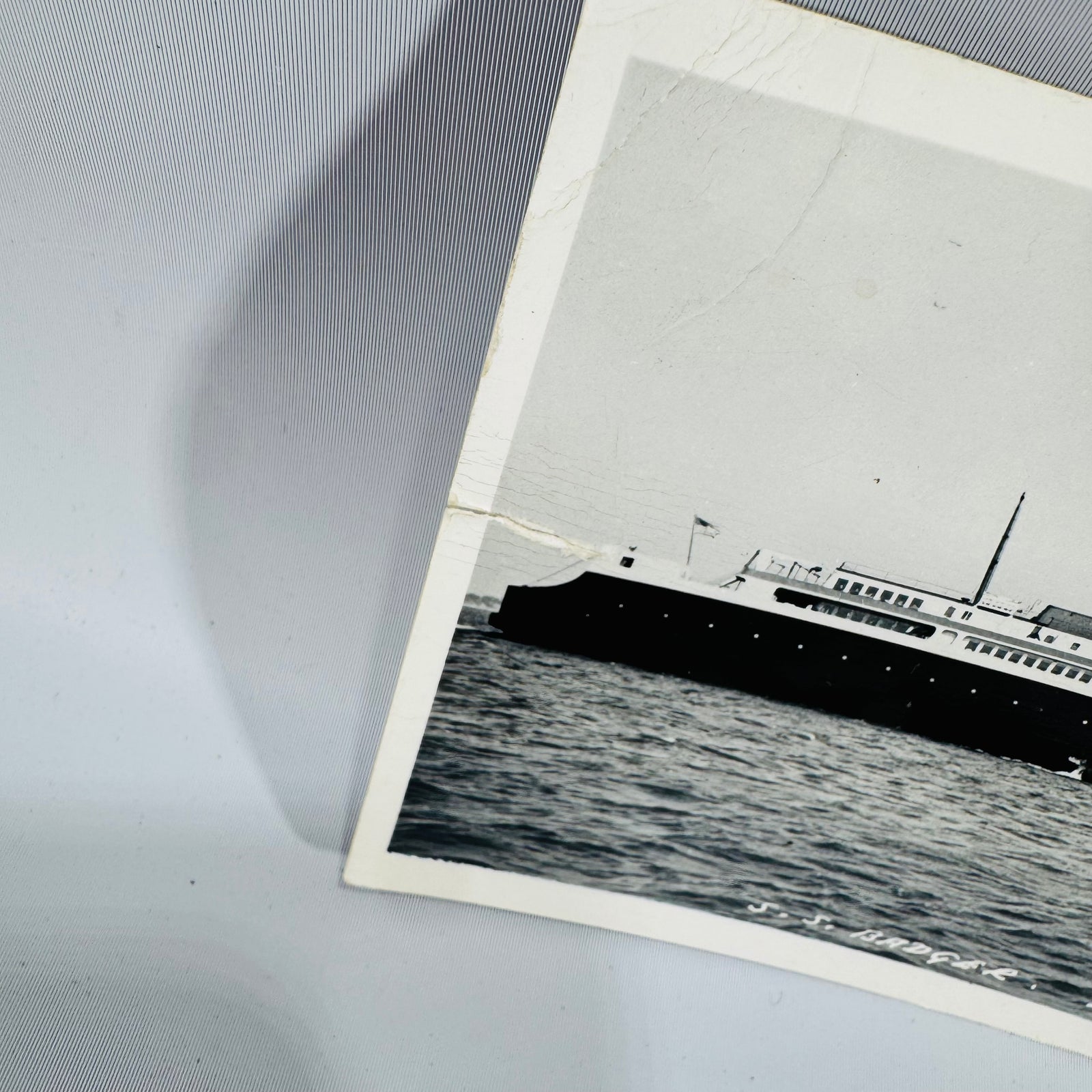 Vintage Michigan Postcard Bundle | S.S. Badger Ludington & Harrison Bear Postcards
