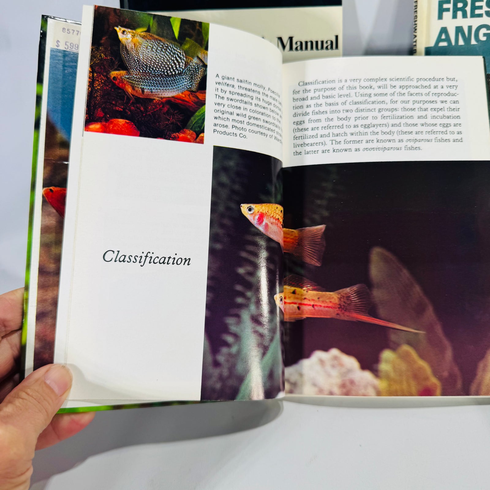 Four-Book Vintage Aquarium Care Bundle | TFH Publications 1979–1989 | Fishkeeping Guides
