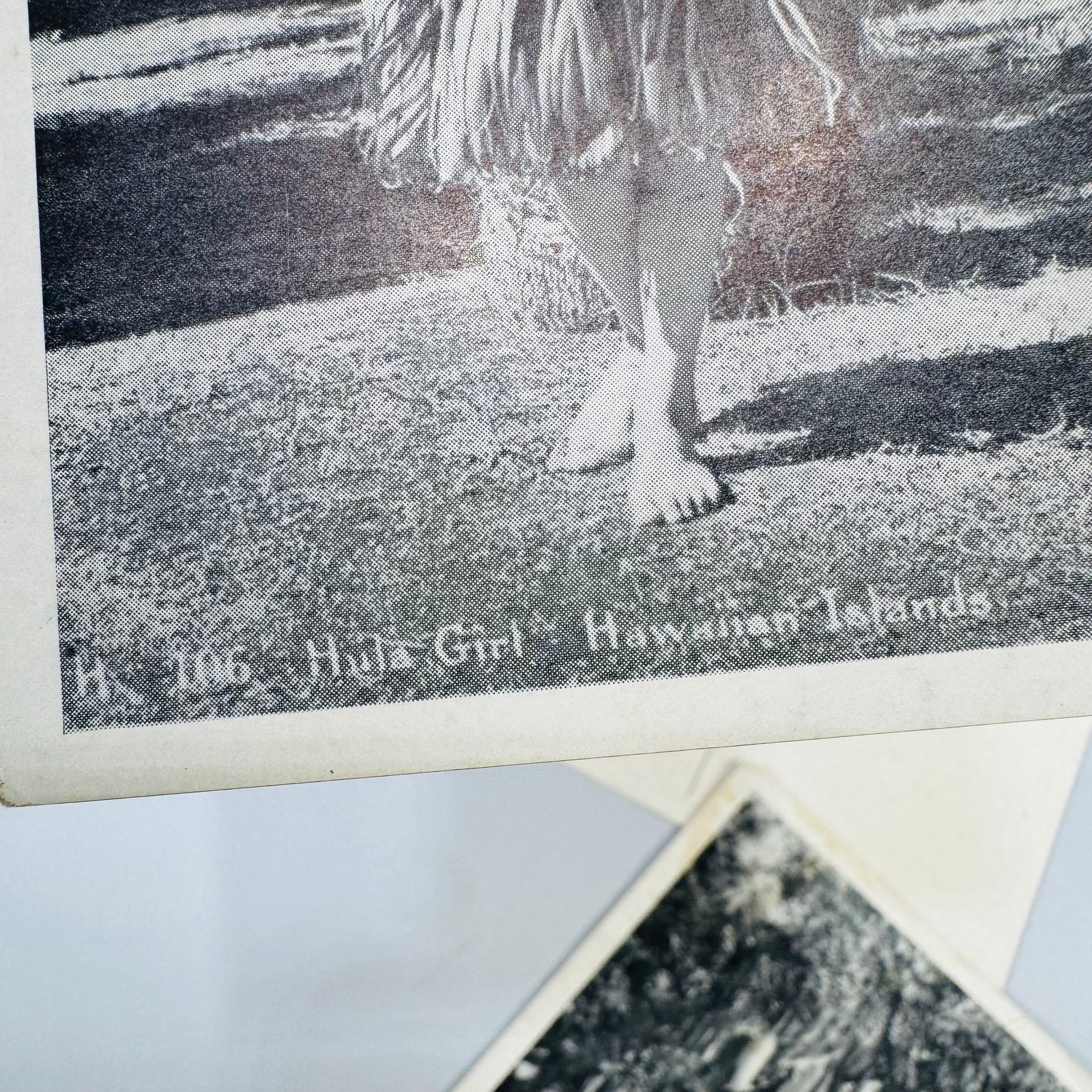 Vintage Hawaii Postcard Bundle | Honolulu Hula Girl, Sausage Tree, Night Blooming Cereus