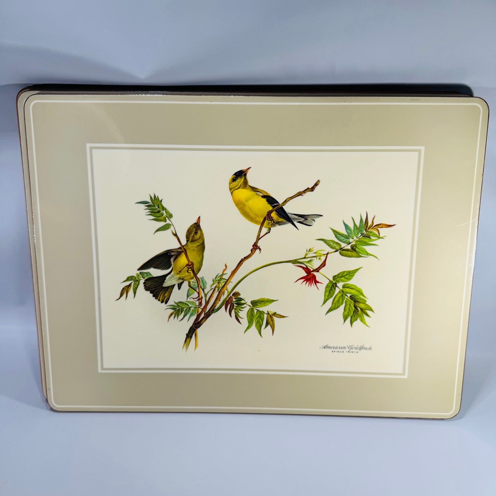 Vintage Pimpernel Bird Placemats Set of 4 Cork Backed Songbird Table Mats Made in England