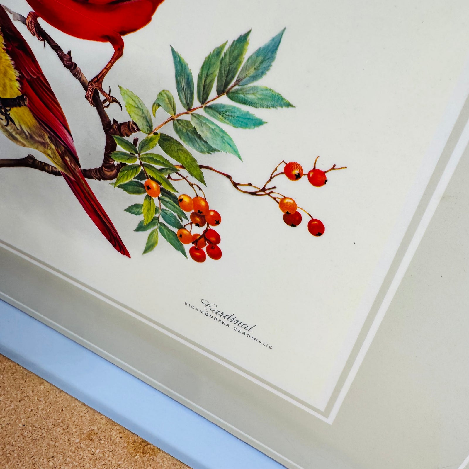 Vintage Pimpernel Bird Placemats Set of 4 Cork Backed Songbird Table Mats Made in England