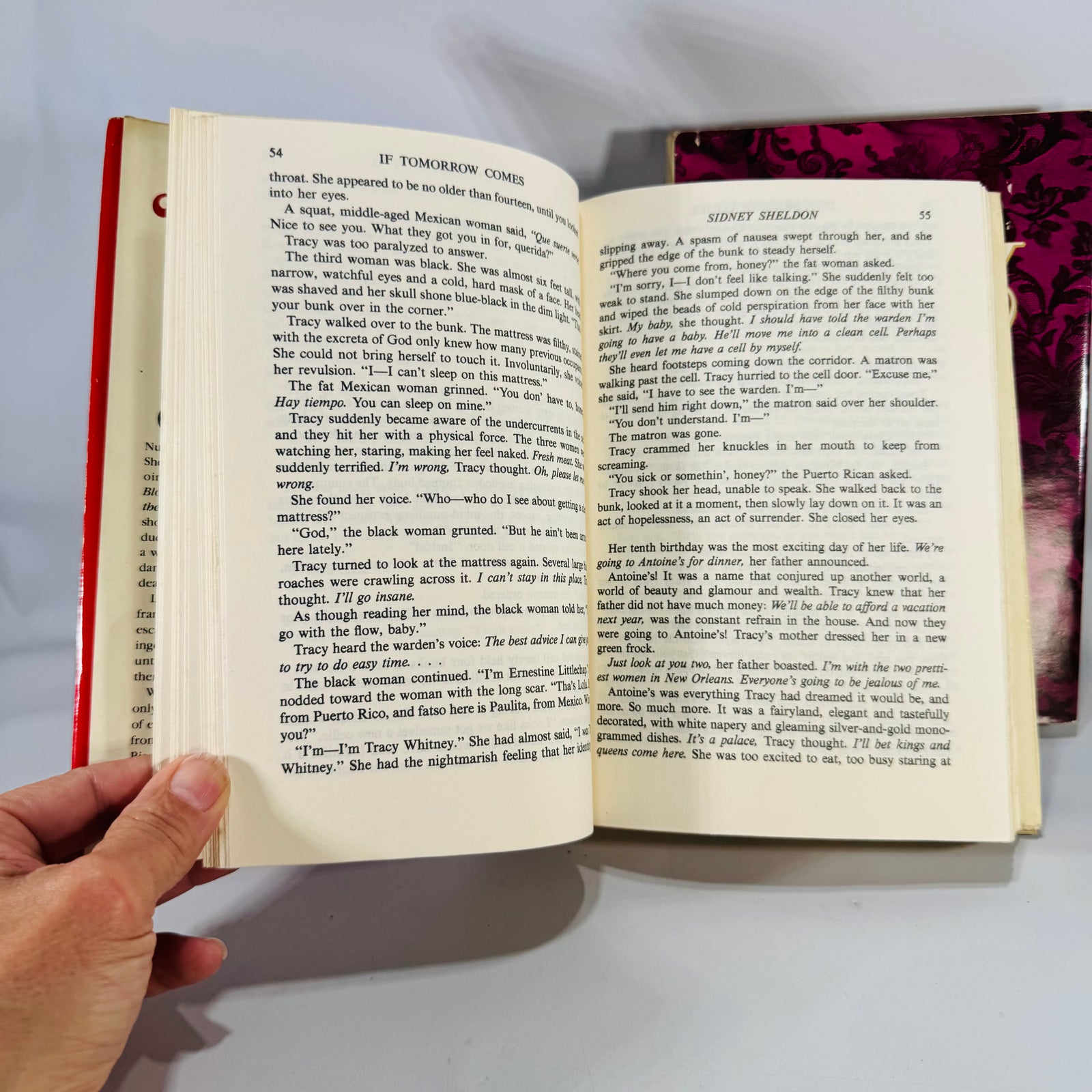 1980s Romance & Women’s Fiction Book Bundle (2) — Sidney Sheldon If Tomorrow Comes + Shirley Conran Lace II (1985) | Curated Set