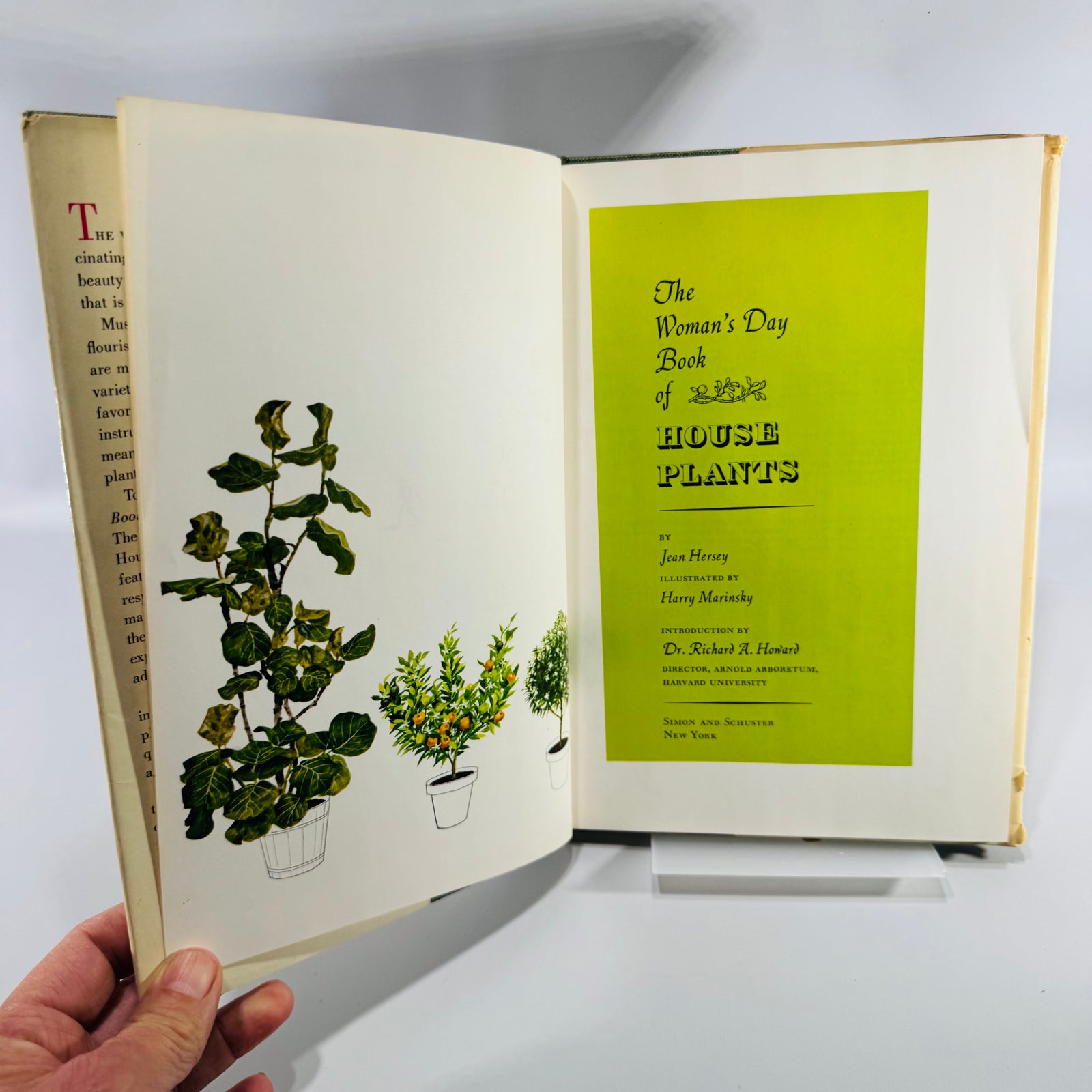 The Woman's Day Book of House Plants Jean Hersey | Simon & Schuster | 1965