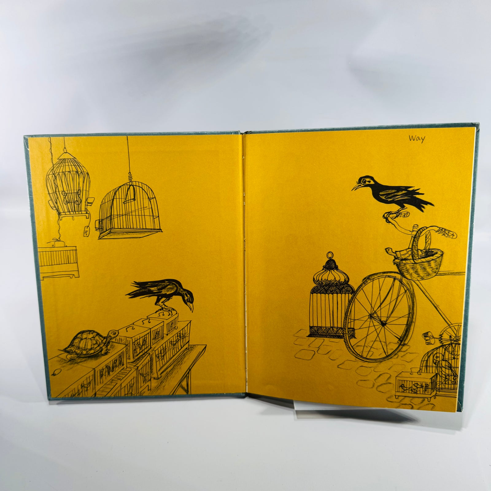 Vintage Children’s Picture Book Rosalie The Bird Market Turtle Winifred and Cecil Lubell Hardcover 1962