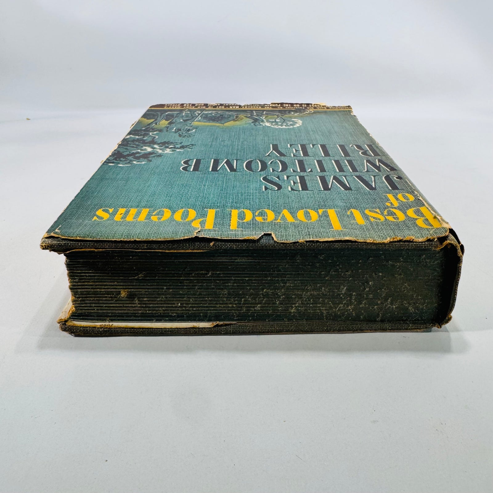 Best Loved Poems of James Whitcomb Riley | 1929 Blue Ribbon Books Omnibus Edition | Illustrated Vintage Poetry Book