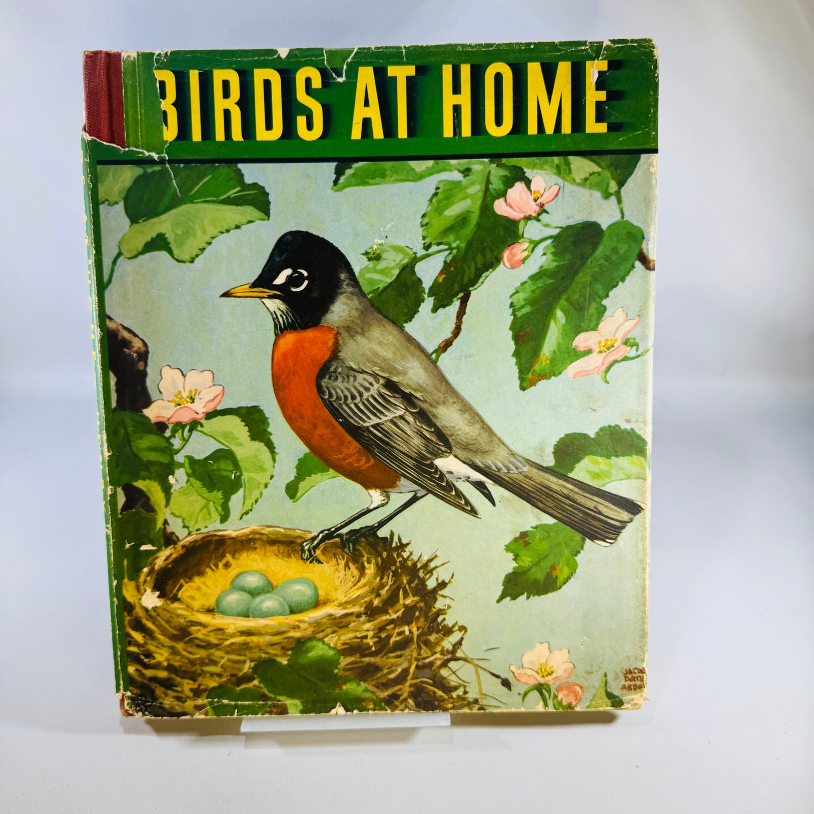 Vintage Birds at Home Book 1942 Marguerite Henry Jacob Bates Abbott Illustrated Bird Book