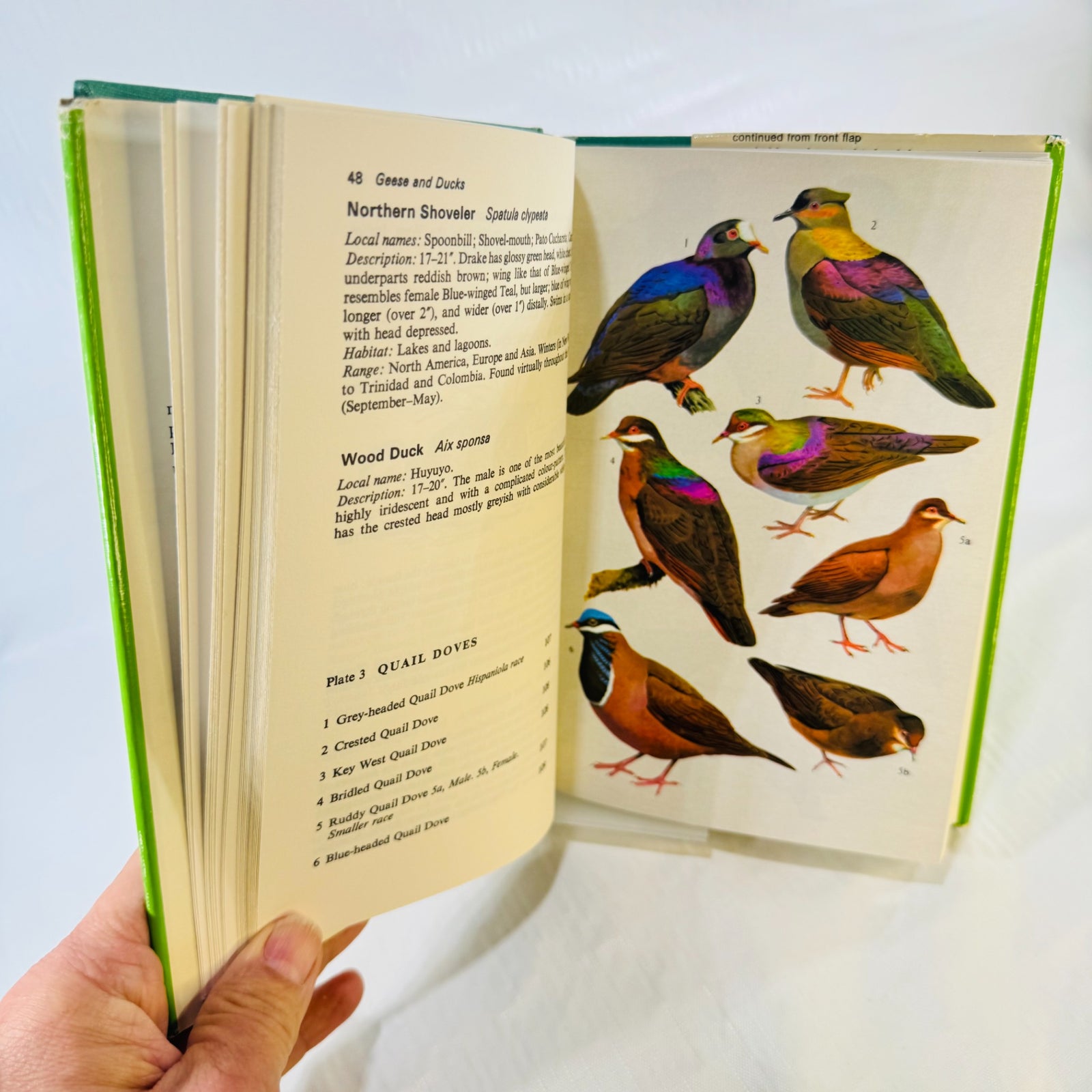 Birds of the West Indies open to the Quail Doves color plate, opposite page 48 with Northern Shoveler and Wood Duck descriptions.