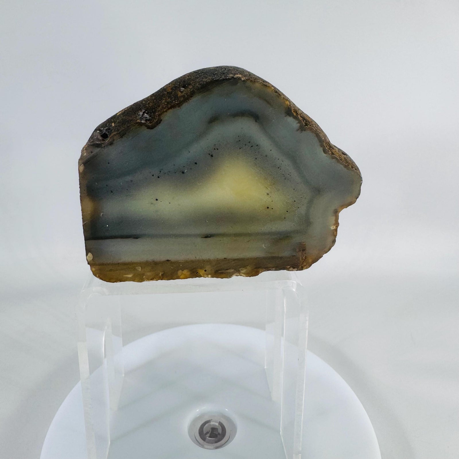 Landscape Agate Display Stone |Polished “Picture” Agate Slice |5" Desk Specimen, 1.5 lb |Gray Cream Bands |Natural Mineral Decor|Paperweight