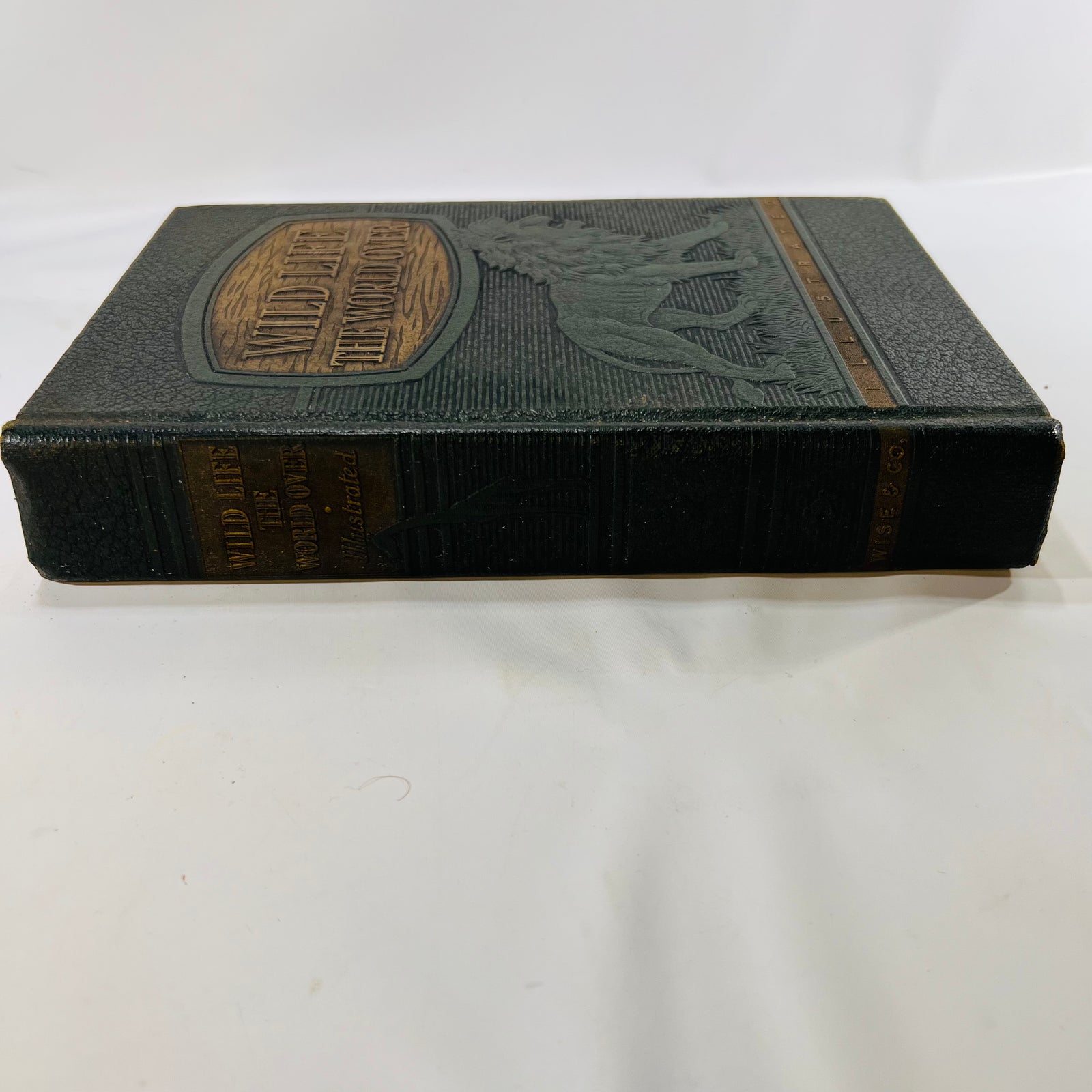 Wildlife the World Over by 9 Distinguished World-Traveled Specialist 1947 Wise & Co.