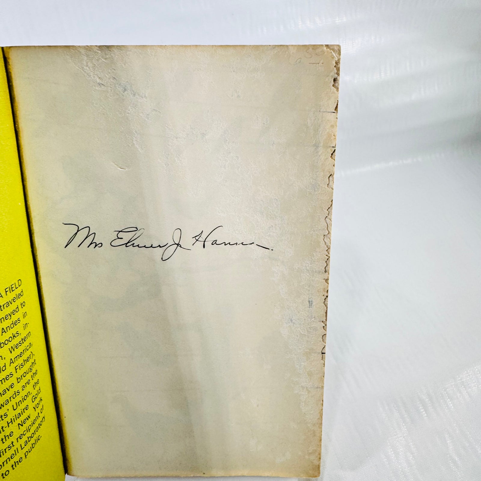 First blank page of Peterson's A Field Guide to the Birds with a handwritten owner's name, discoloration, surface abrasion, and a ragged, torn outer edge.