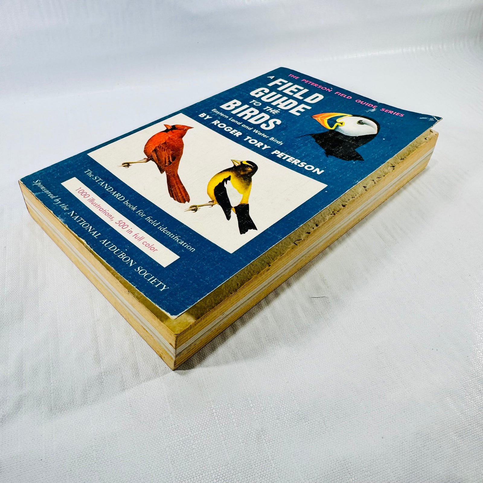 Angled front view of Peterson's bird guide paperback, showing worn blue covers and browned page edges with ragged paper near the front.