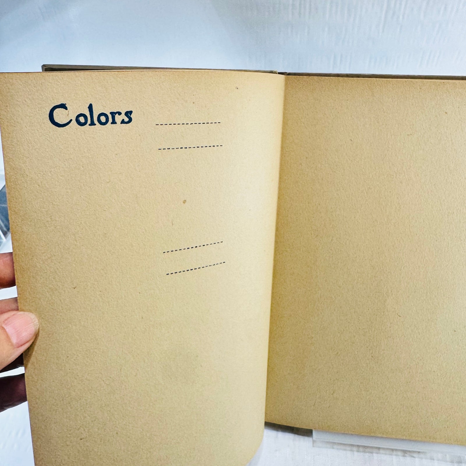 Blank Colors page with dashed lines waiting for a schoolgirl's entries
