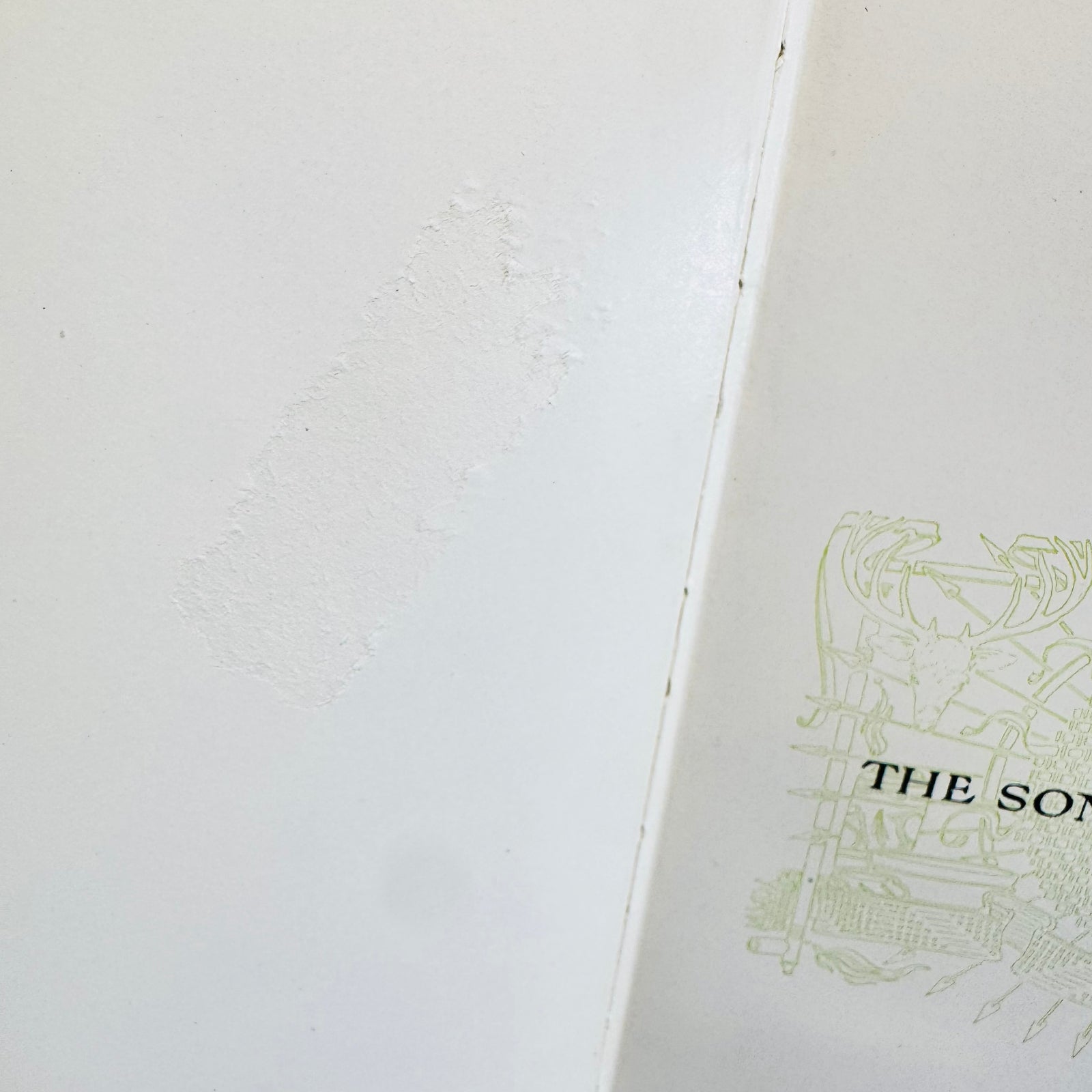 Pale rectangular tape scar on the front free endpaper of the green book
