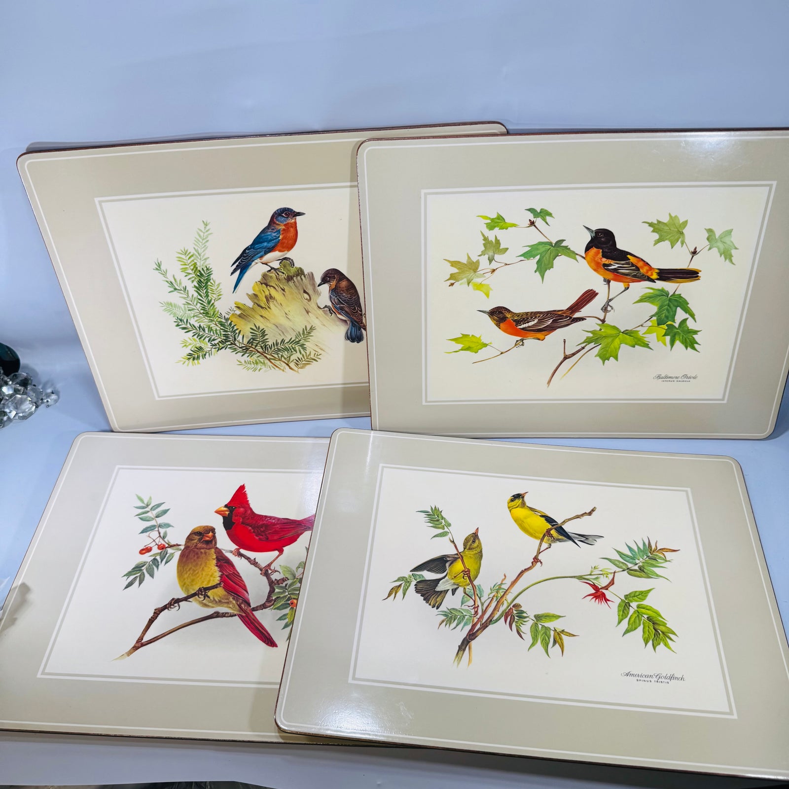Vintage Pimpernel Bird Placemats Set of 4 Cork Backed Songbird Table Mats Made in England