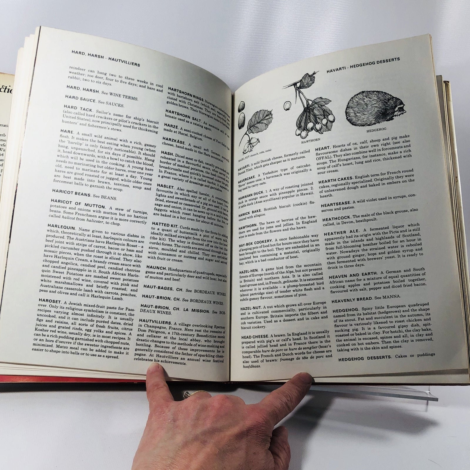 Dictionary of Gastronomy by Andre L. Simon 1970 A Vintage Cookbook