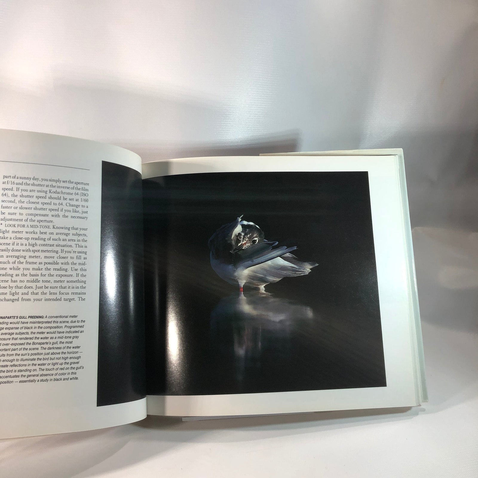 The Audubon Society Guide to Nature Photography by Tim Fitzharris 1990